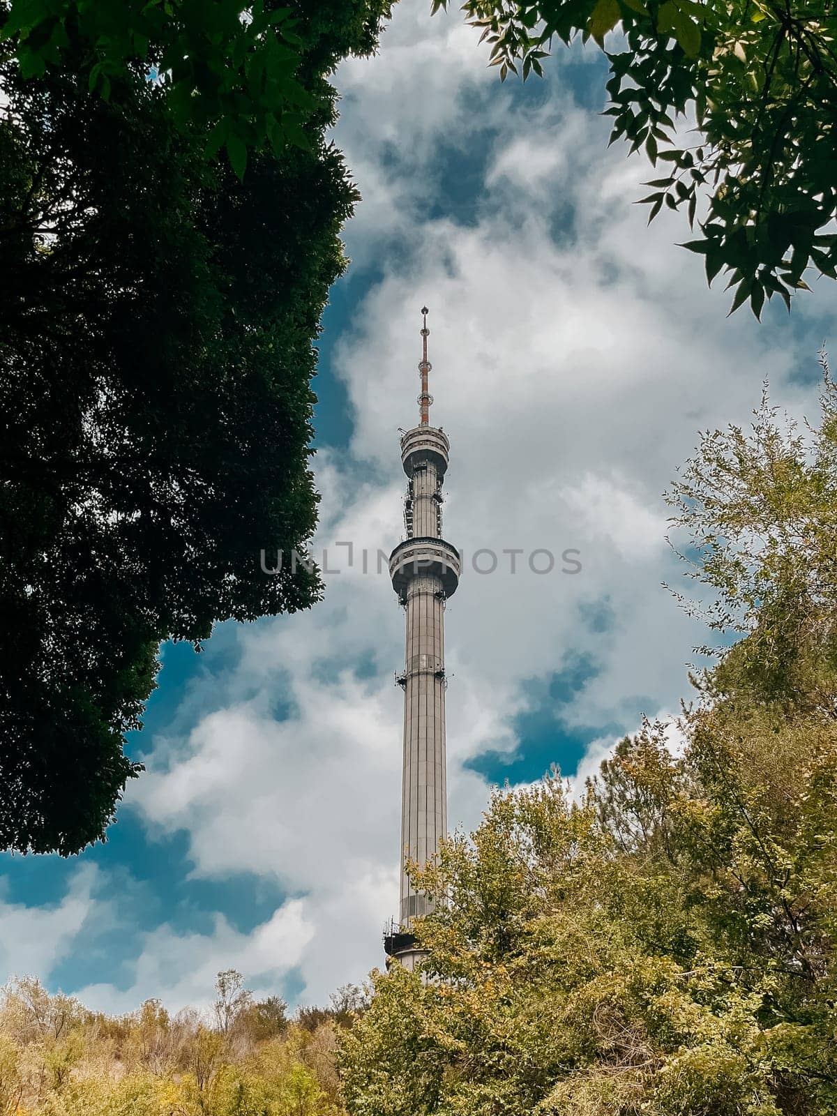 Almaty TV Tower view through the trees in summer by Pukhovskiy