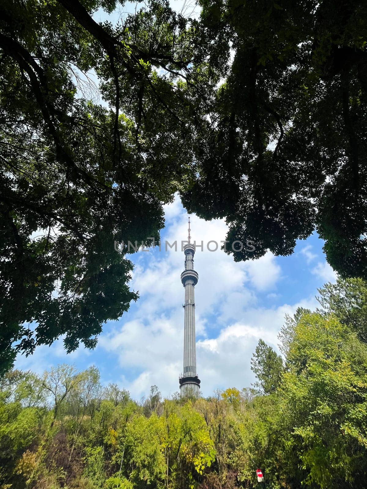 Almaty TV Tower view through the trees in summer.