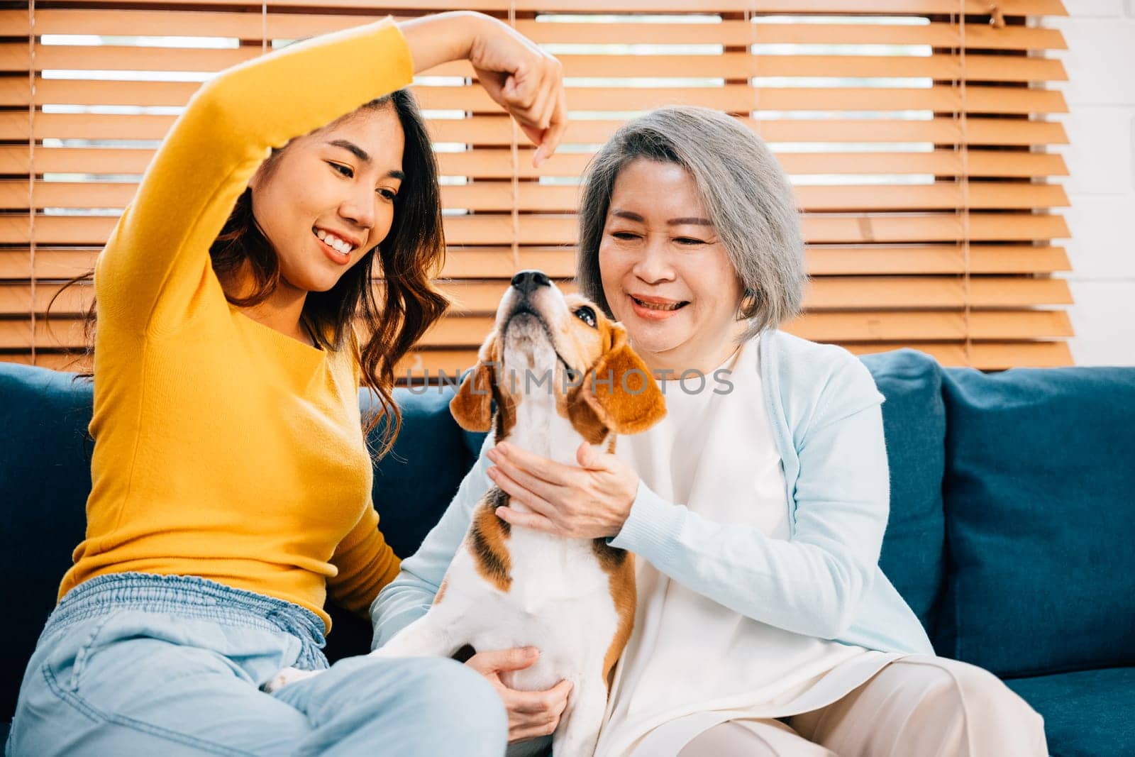 In a cozy home setting, a woman, her mother, and their Beagle dog capture a heartwarming family portrait on the sofa. Their happiness and togetherness shine through. Pet love. by Sorapop