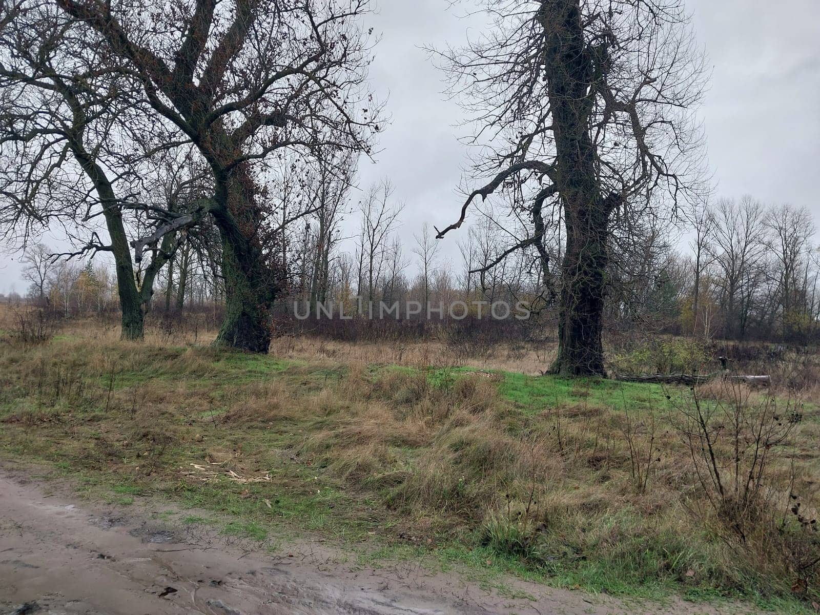 Blurred dirt roads in a village after rain by architectphd