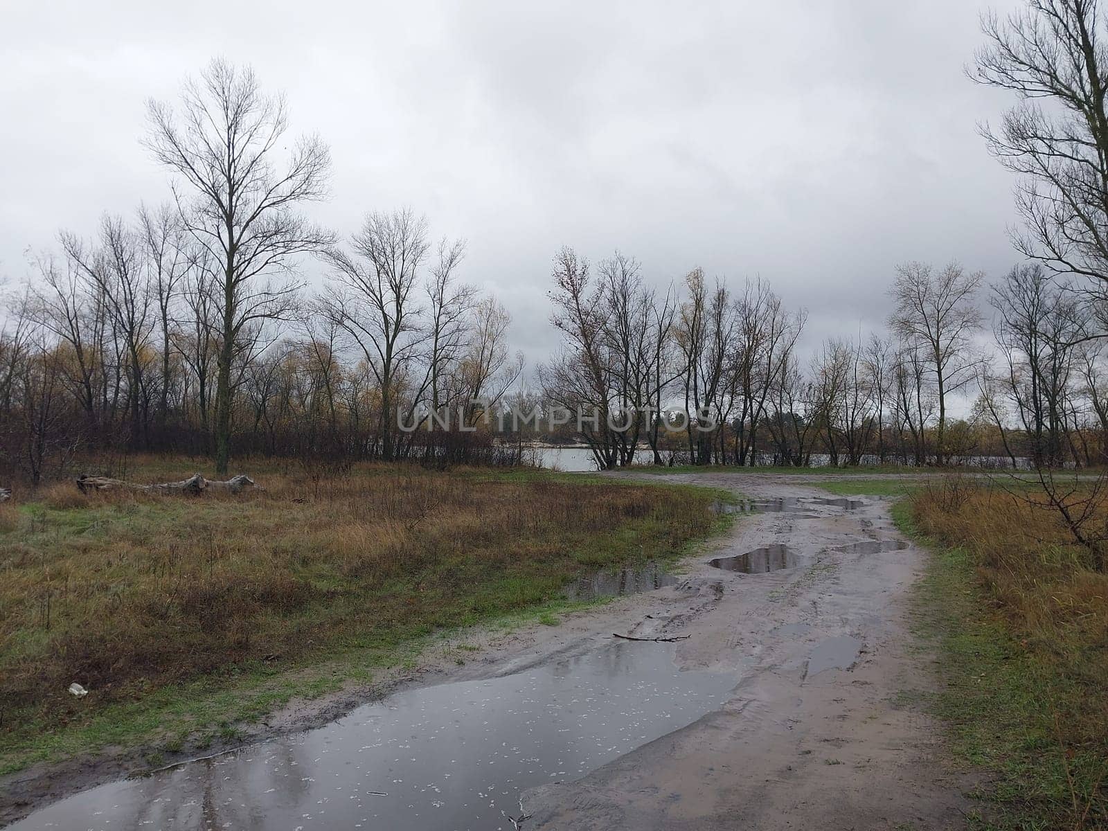 Cold panorama of a the autumn river