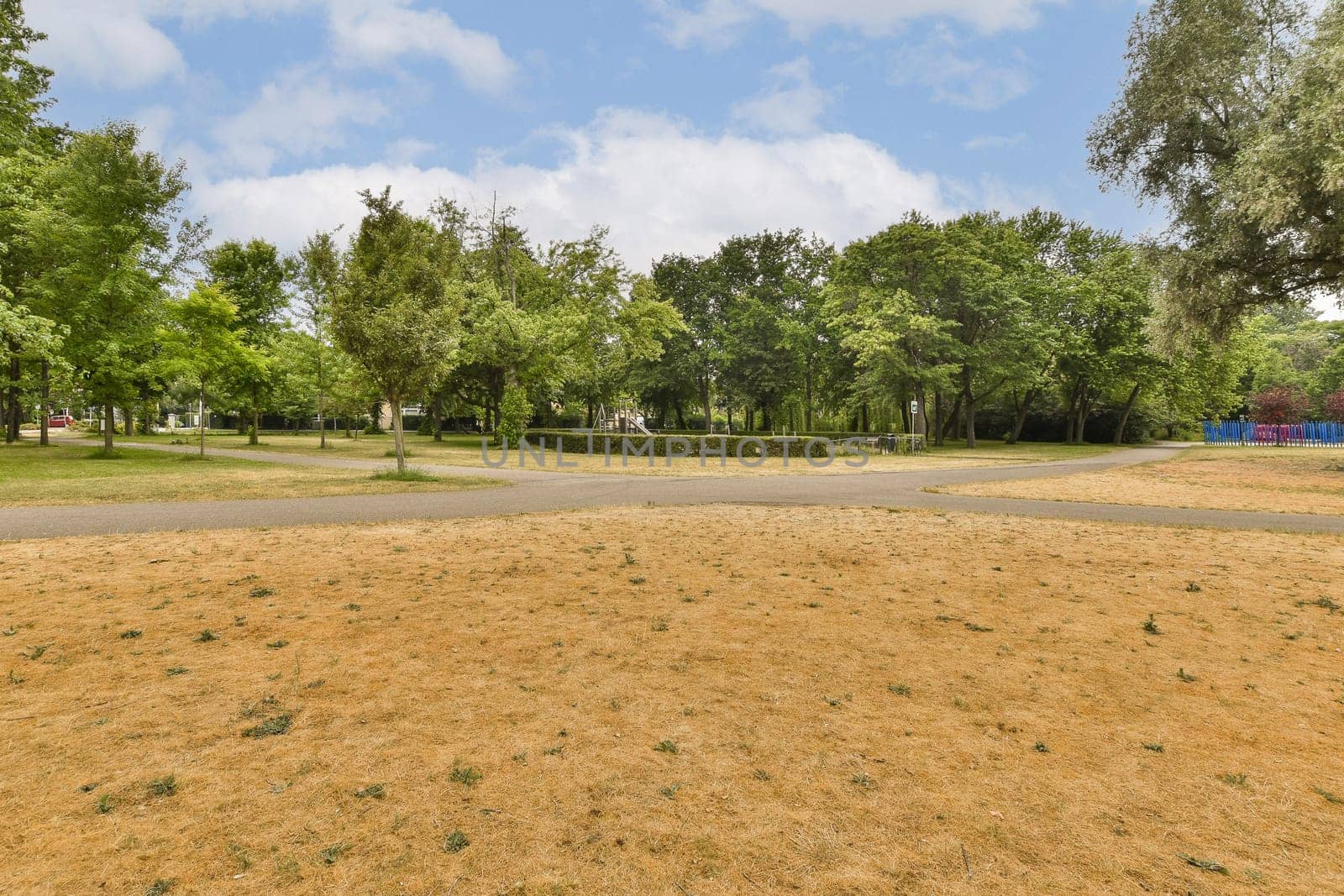 a park with trees and grass in the foreground is clear blue skies, white clouds and some green leaves