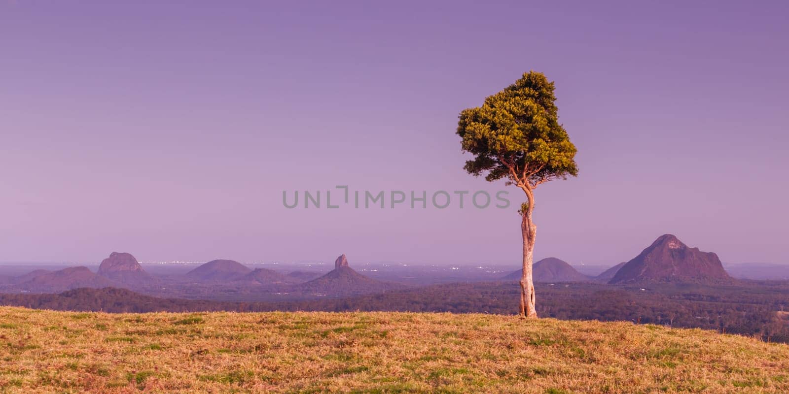 One Tree Hill in Queensland Australia by FiledIMAGE