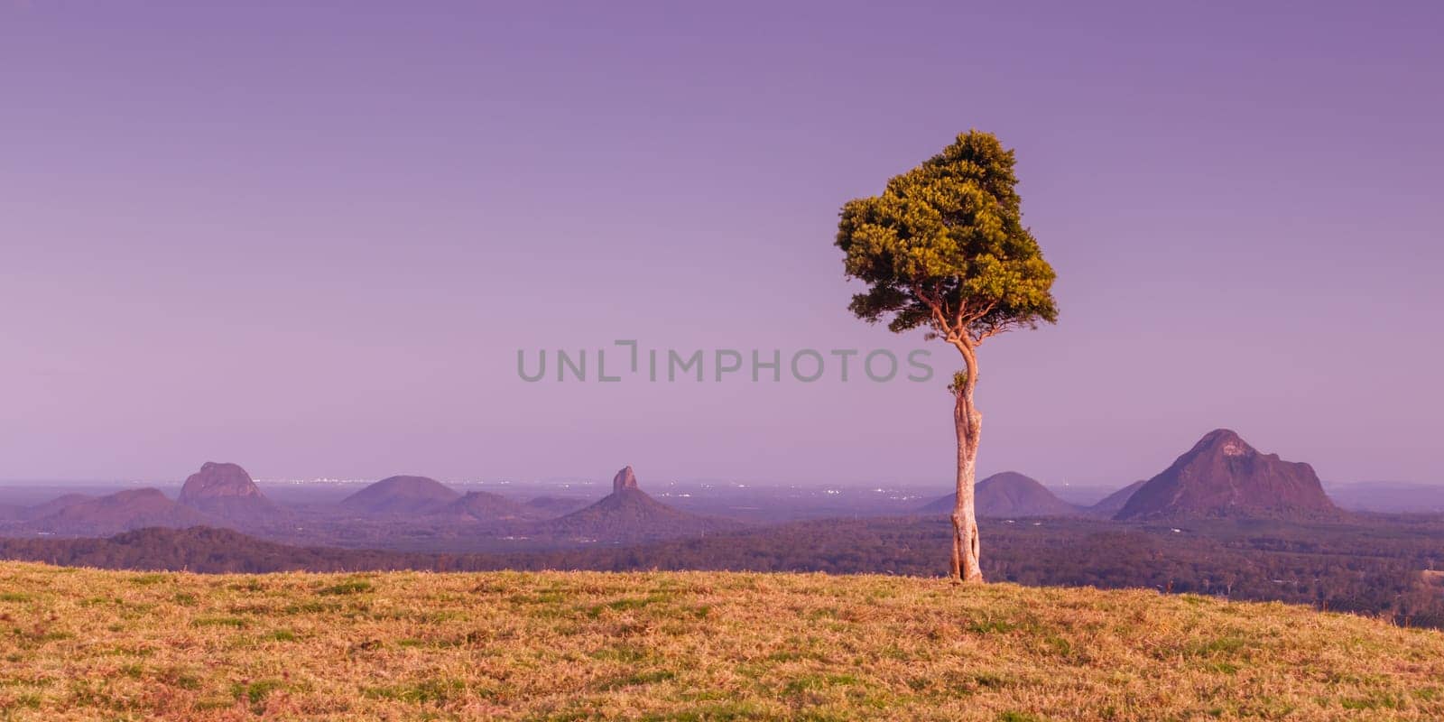 A view across the Glass House Mountains National Park from One Tree Hill Lookout on Mountain View Rd on a clear sunny day near Maleny, Queensland, Australia