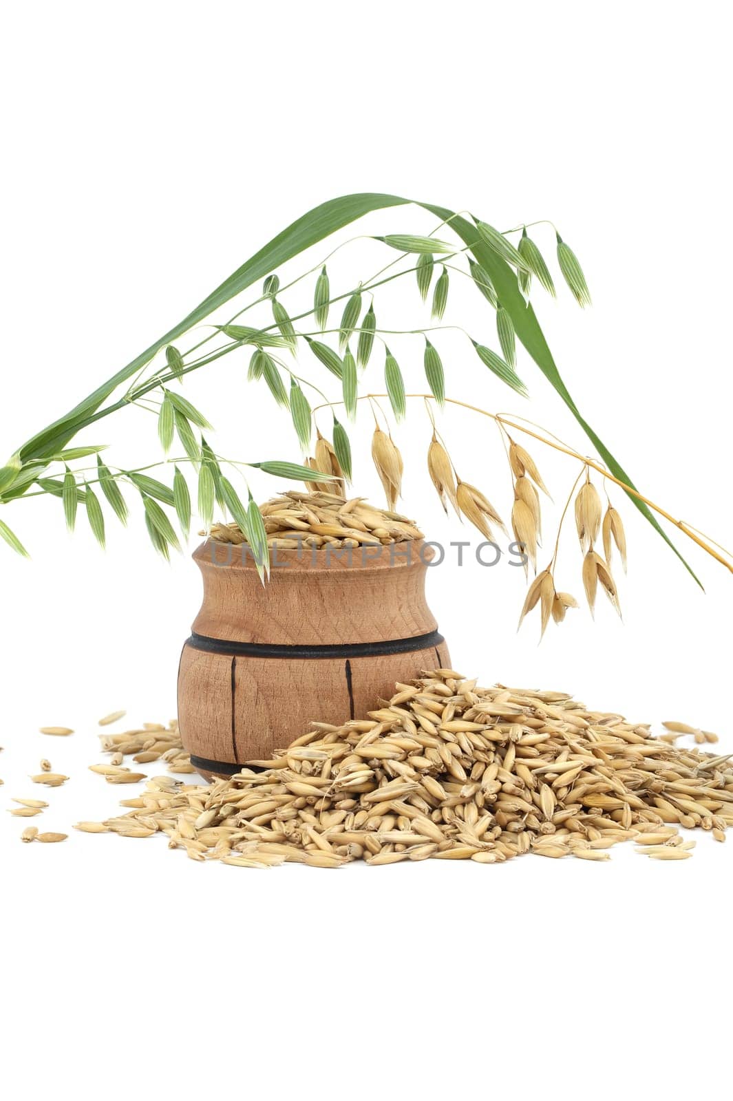 Organic whole oat grain seeds with hulls or husks isolated on a white background. Agriculture, diet and nutrition