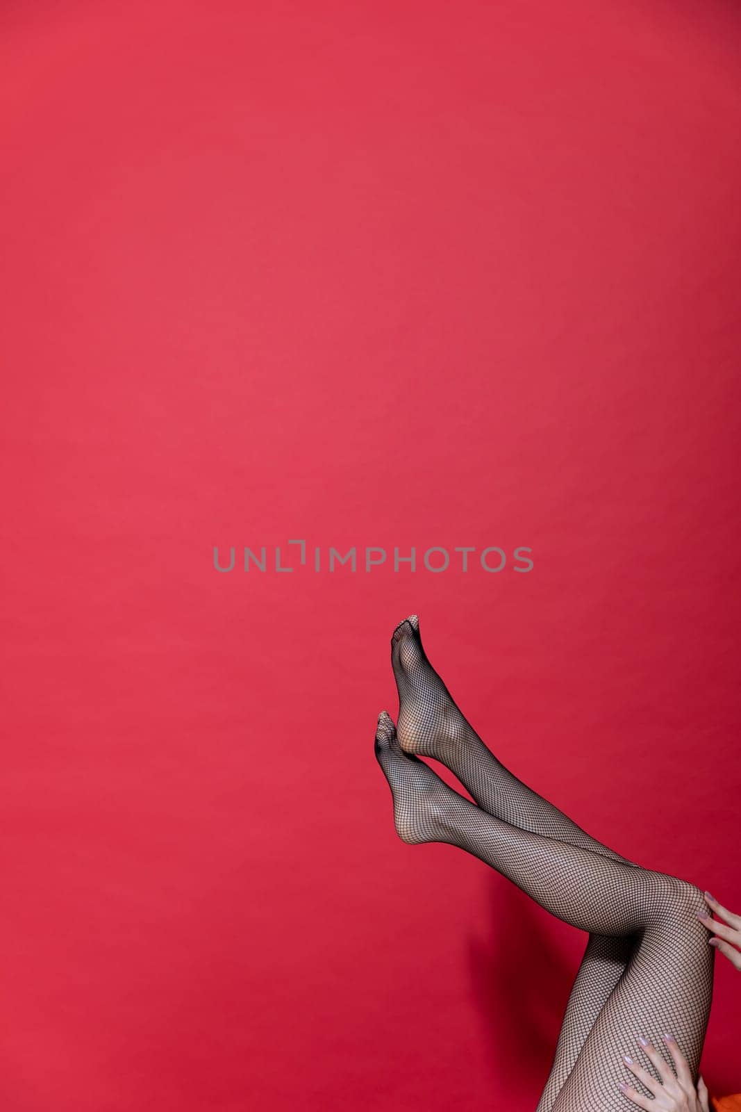 women's slender legs in mesh tights on a red background by Simakov