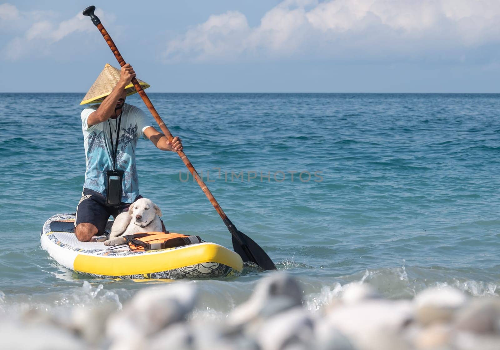 guy on a sup board with a paddle with a dog stands on the sea in summer
