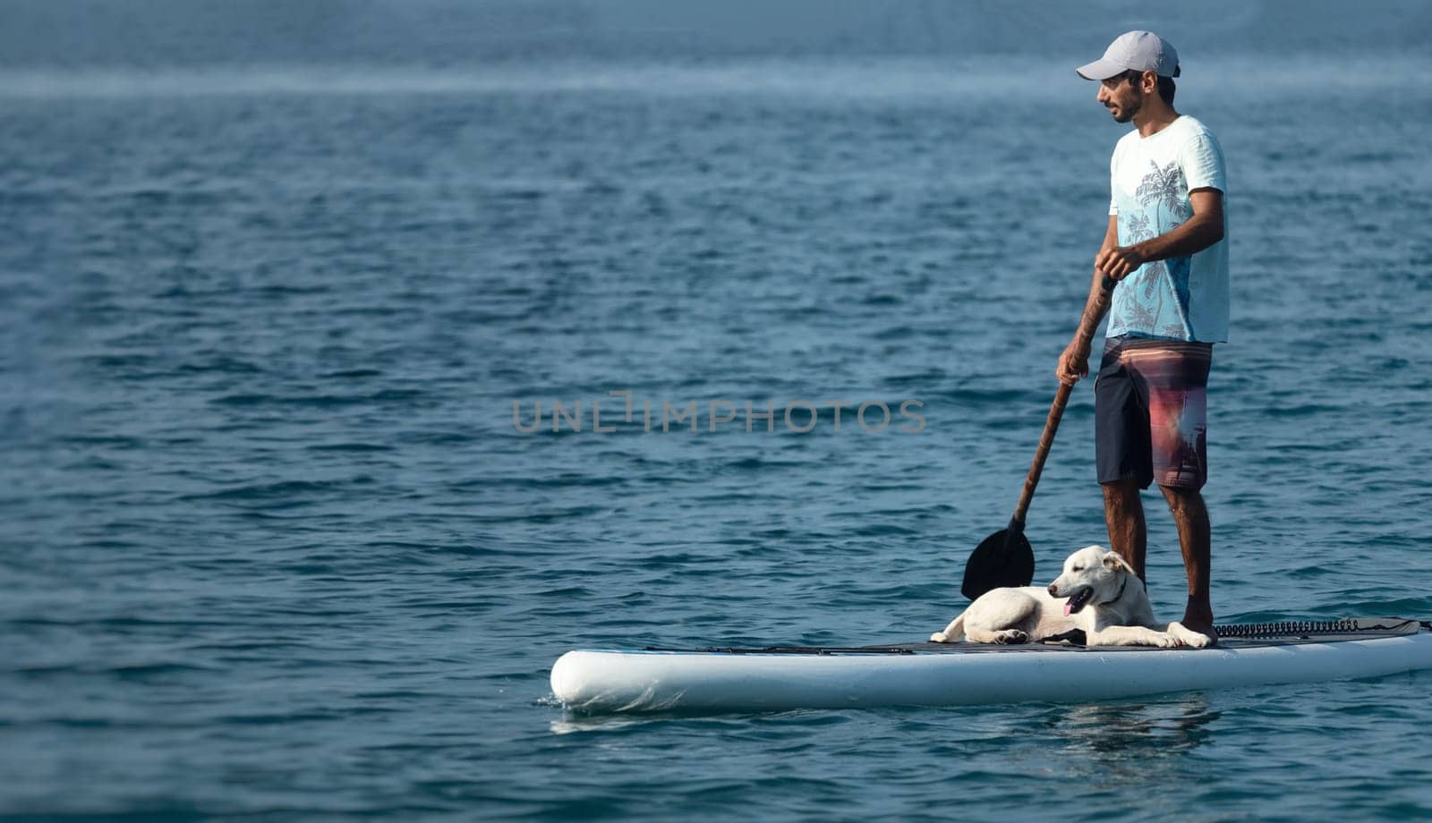 a guy on a sup board with a paddle with a dog stands on the sea in summer, Stand Up Paddle by Rotozey
