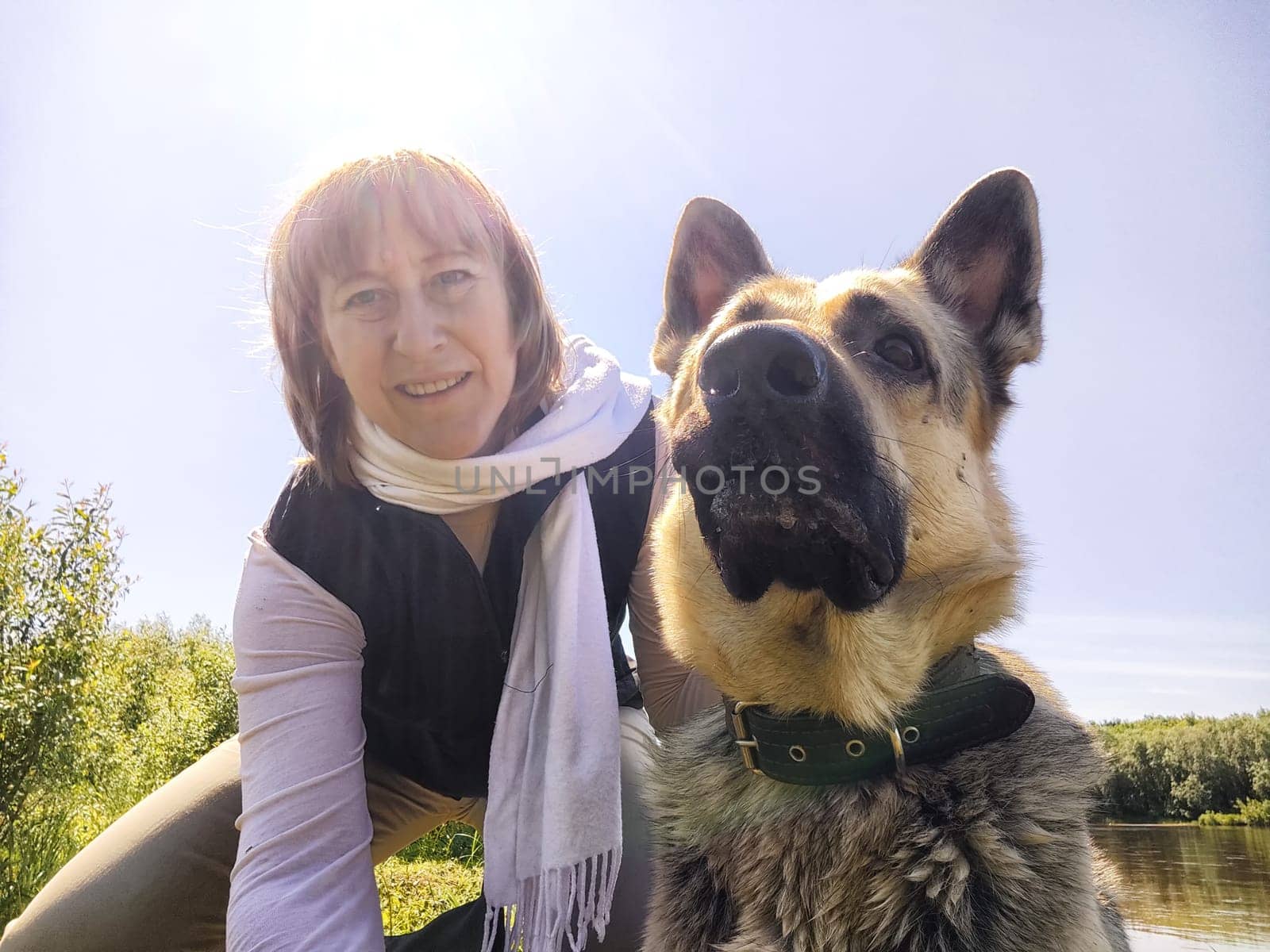 Dog German Shepherd and woman or girl in nature in summer, spring, summer sunny day. Russian eastern European dog and the mistress, trainer veo outside and outdoors with the rays of the sun