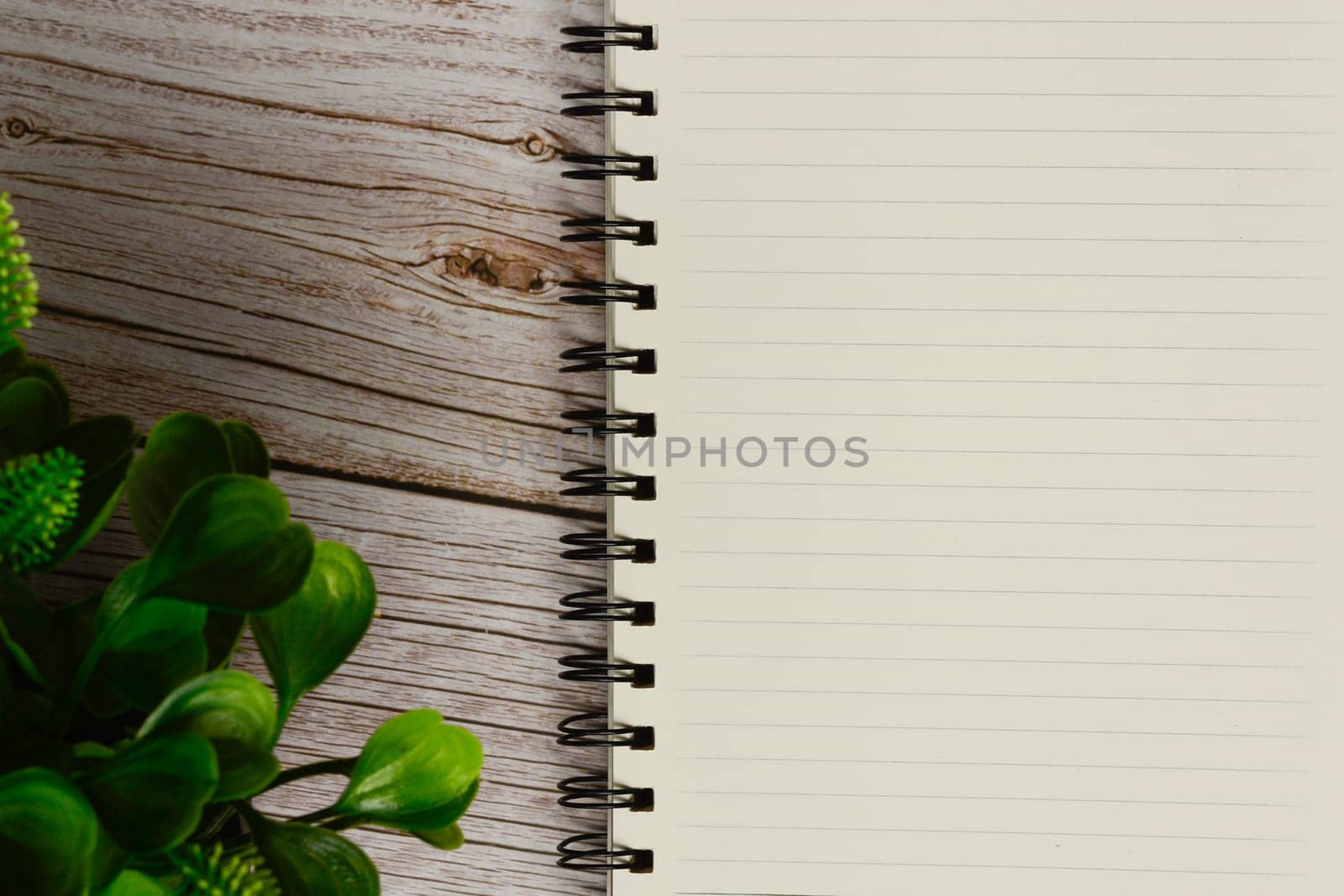 Directly above view of a desk with notepad and plant. Flat lay. Copy space.