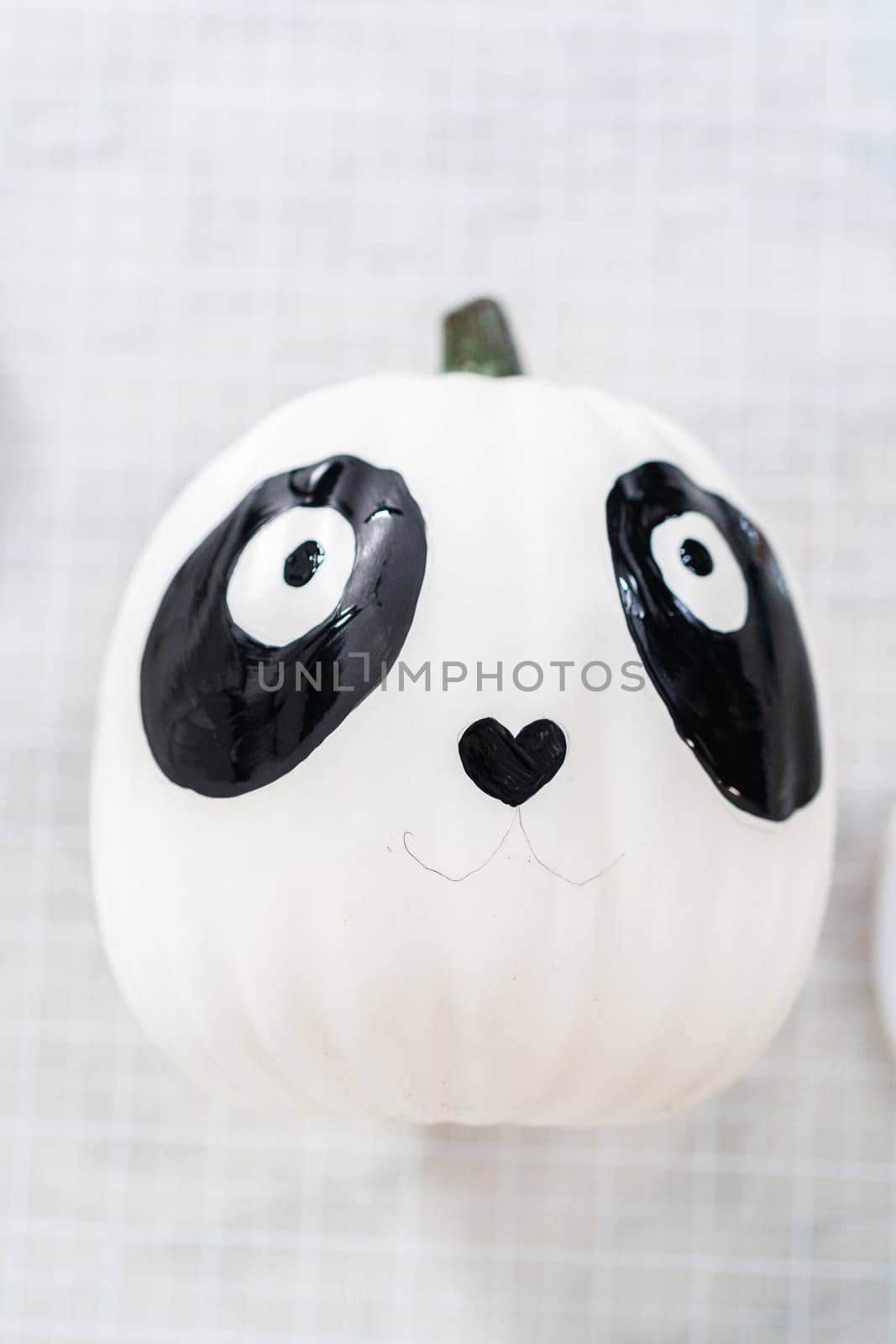 Panda Pumpkin by arinahabich