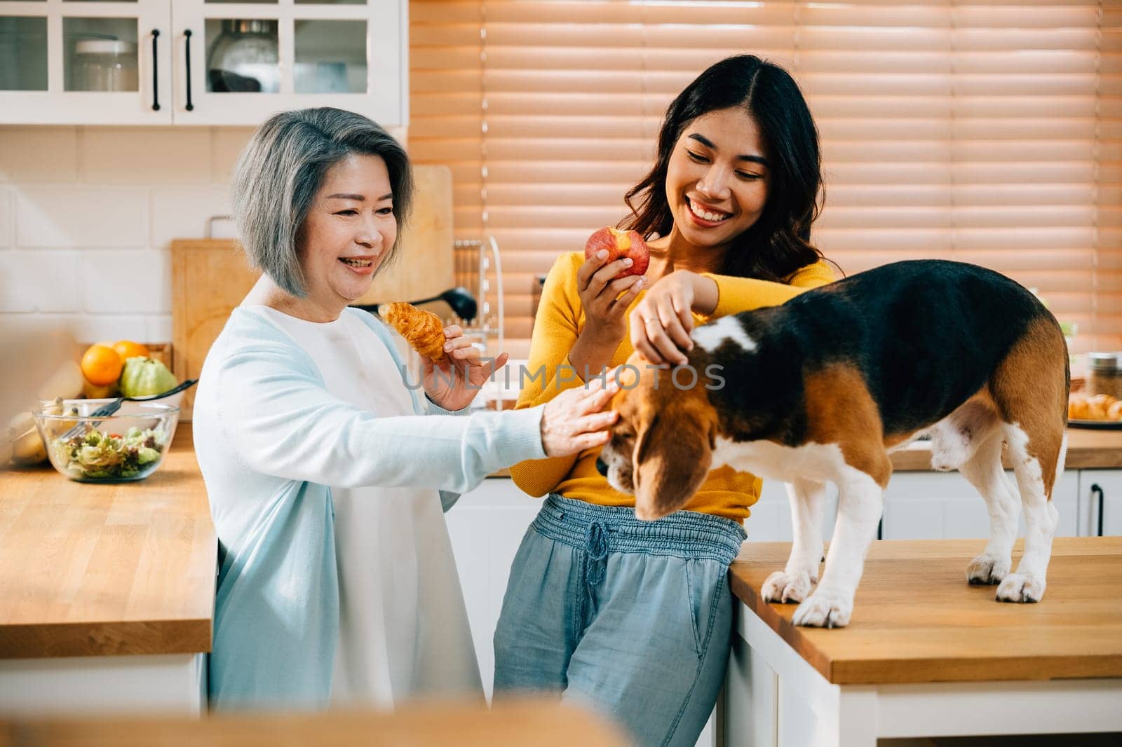 A kitchen scene at home captures the joy of a young Asian woman, her mother, and their beagle dog. Their togetherness and happiness showcase the concept of pet and cute animal companions. Pet love by Sorapop