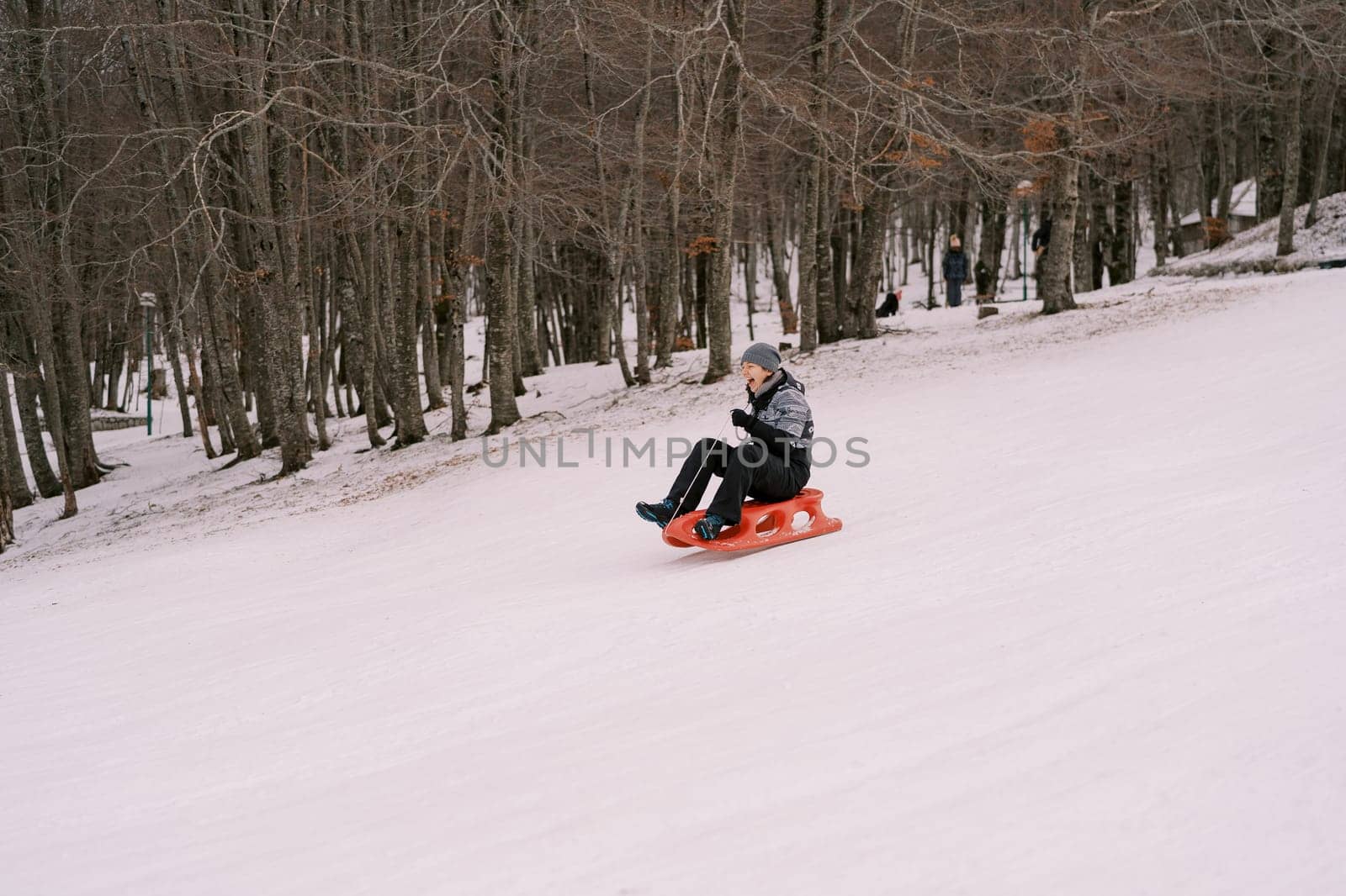 Girl screaming with delight rides a sleigh on a snow-covered slope. High quality photo