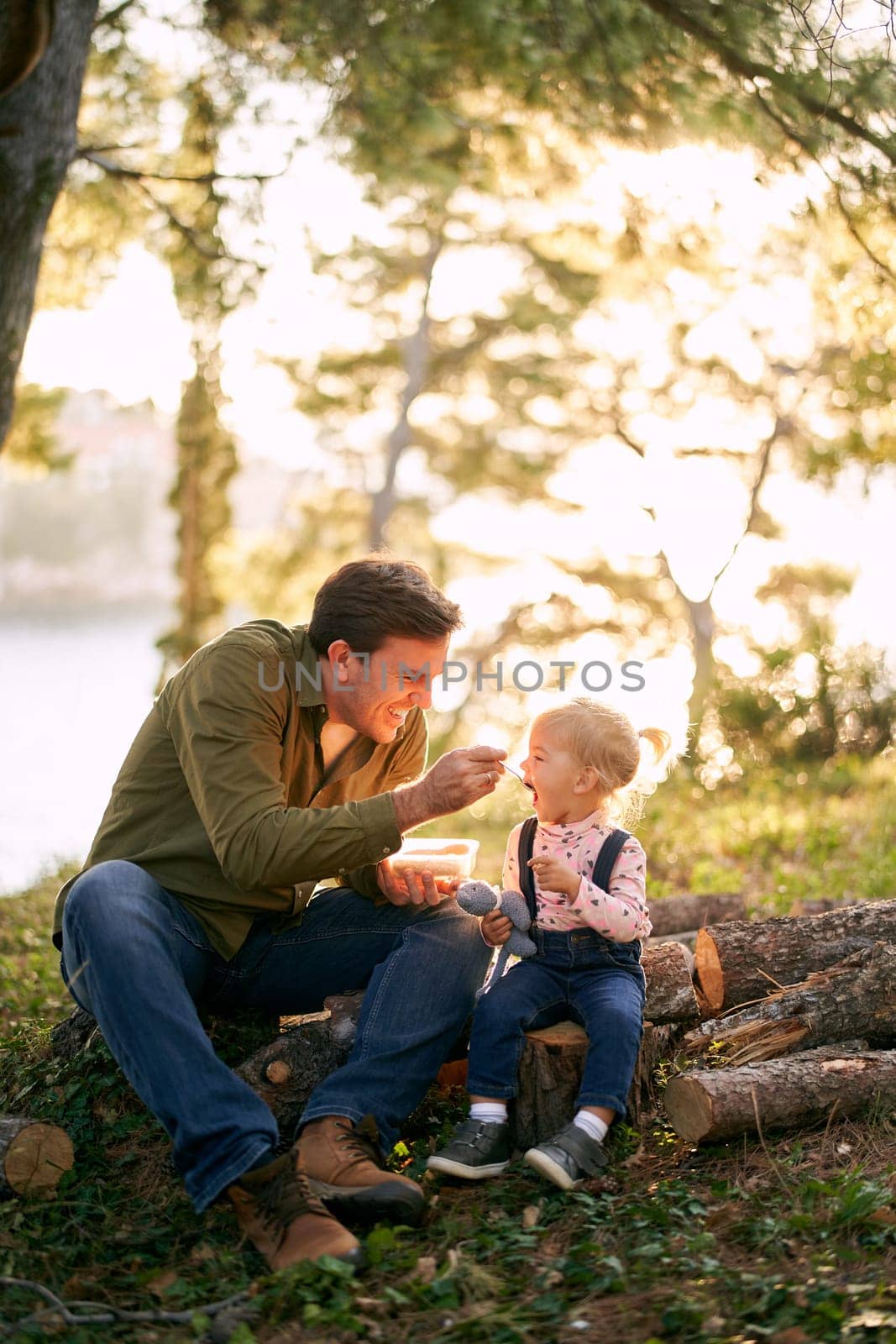 Dad feeding a little girl from a lunch box with a spoon while sitting on logs in the forest. High quality photo