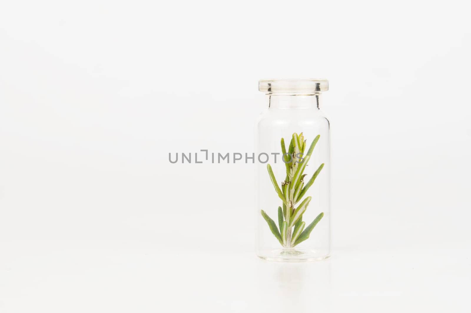 close-up of a glass jar with branches of fresh rosemary isolated on a white background