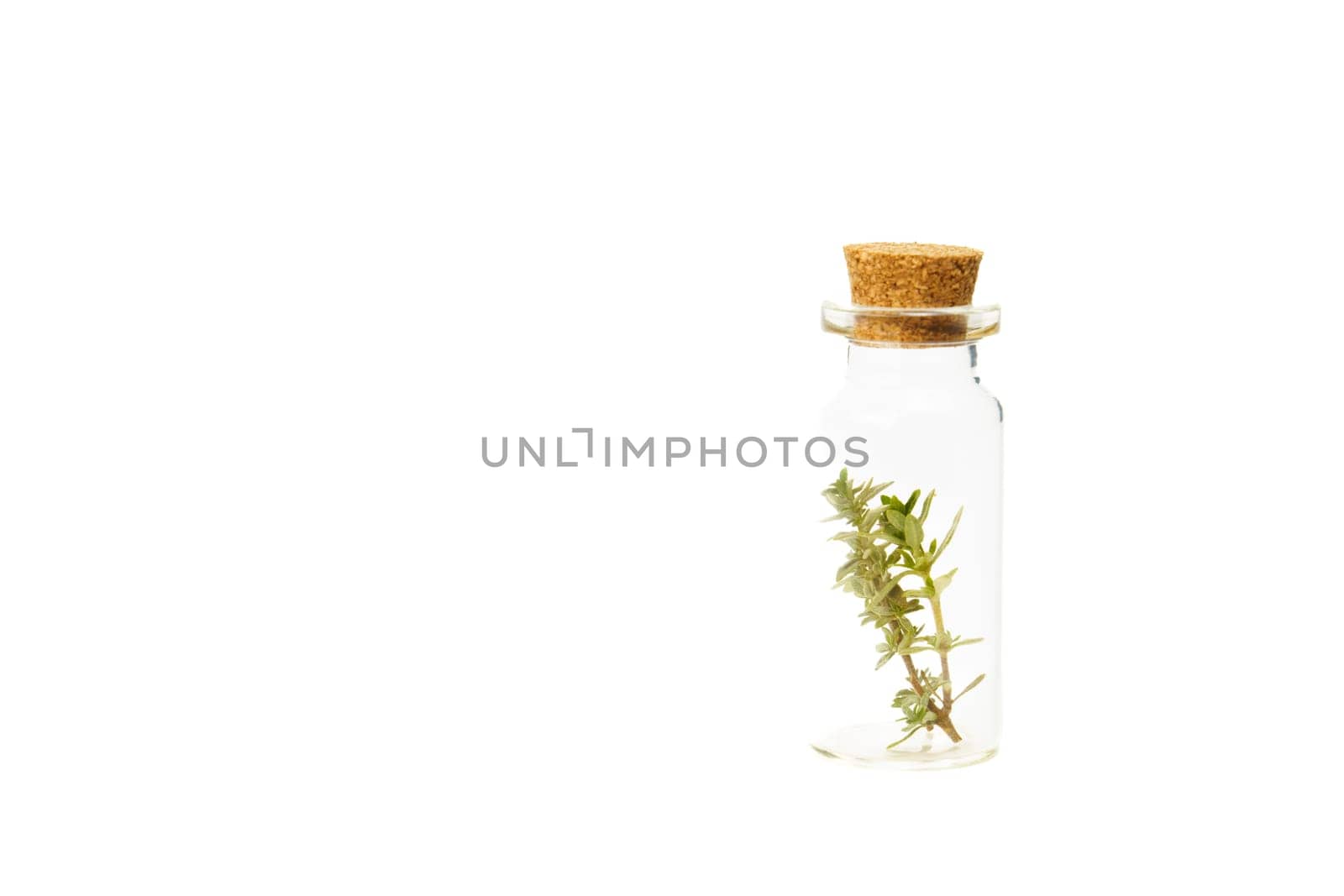 close-up of a glass jar with sprigs of fresh thyme by joseantona