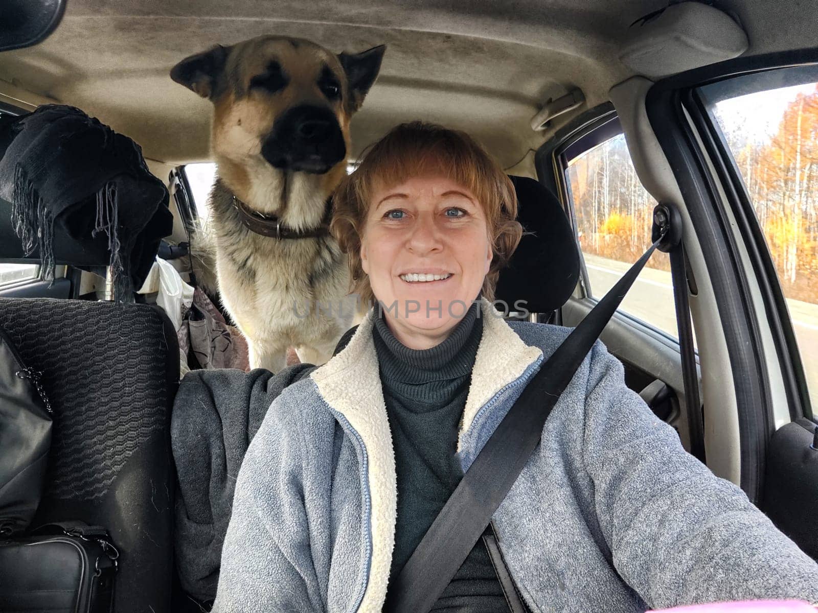 Portrait of female driver in solo journey with big dog. Adult middle aged woman holding steering wheel, looking through windscreen in travel by vehicle on vacation with shepherd. Lady girl in travel by keleny