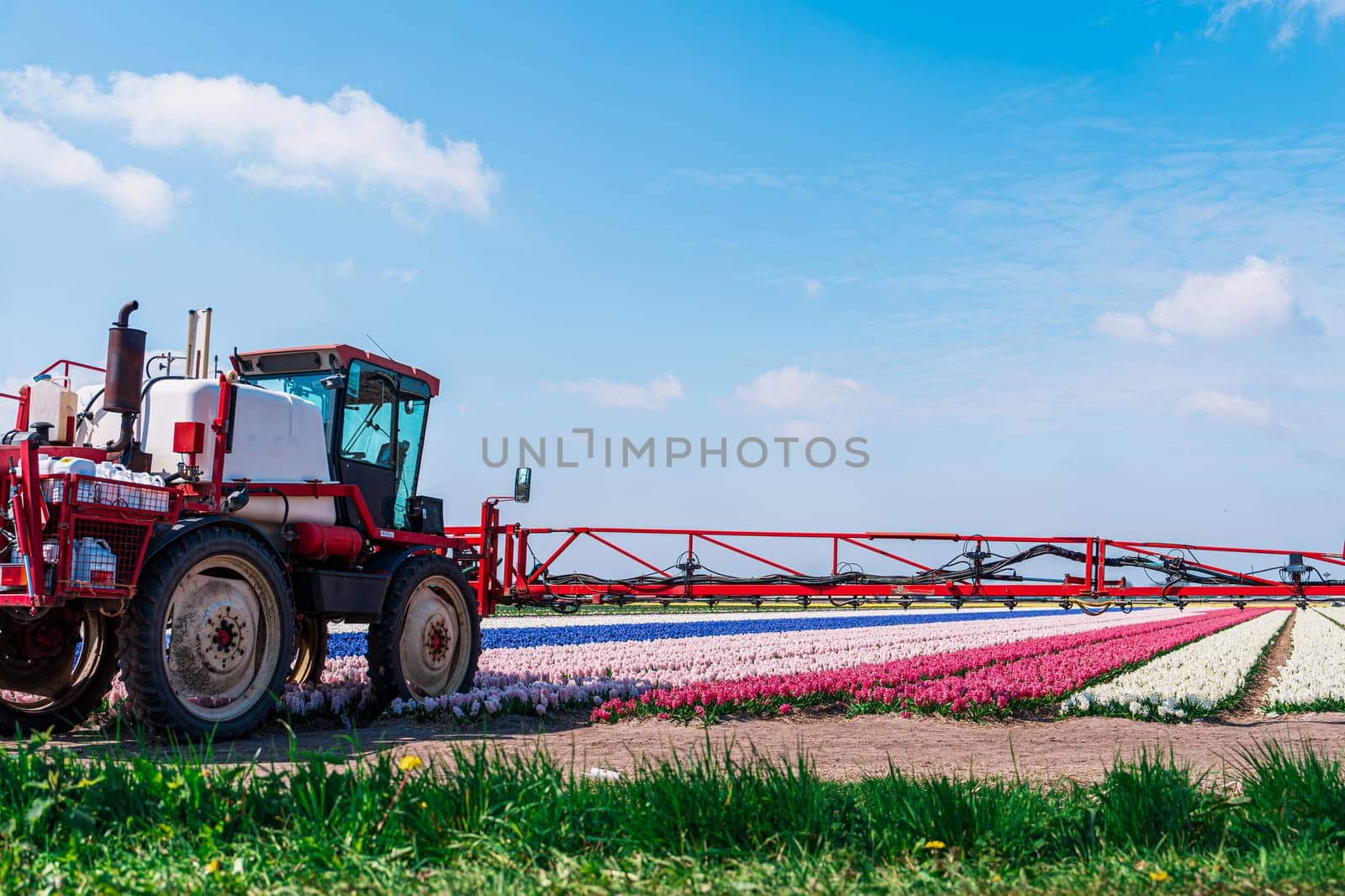 Protecting Flowers in Netherlands: Tractor Spraying Fields for Pest Control in Cultivation by PhotoTime