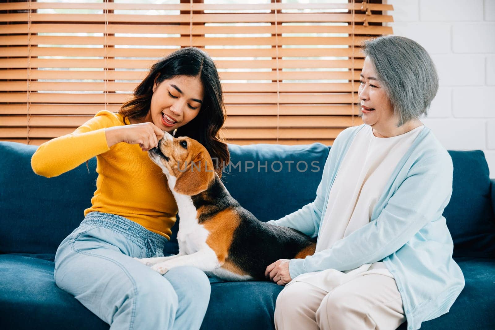In a heartwarming family scene, a woman and her mother care for their Beagle dog on the sofa at home. Their smiles reveal the happiness and loyalty that define their family relationships. by Sorapop