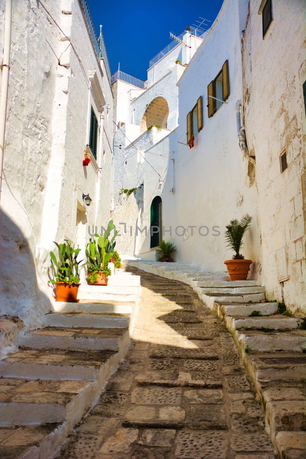 A charming street in Ostuni, Italy, adorned with potted plants and cobblestone paving by artofphoto