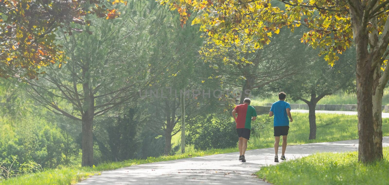 Two men running in the green park - view from behind