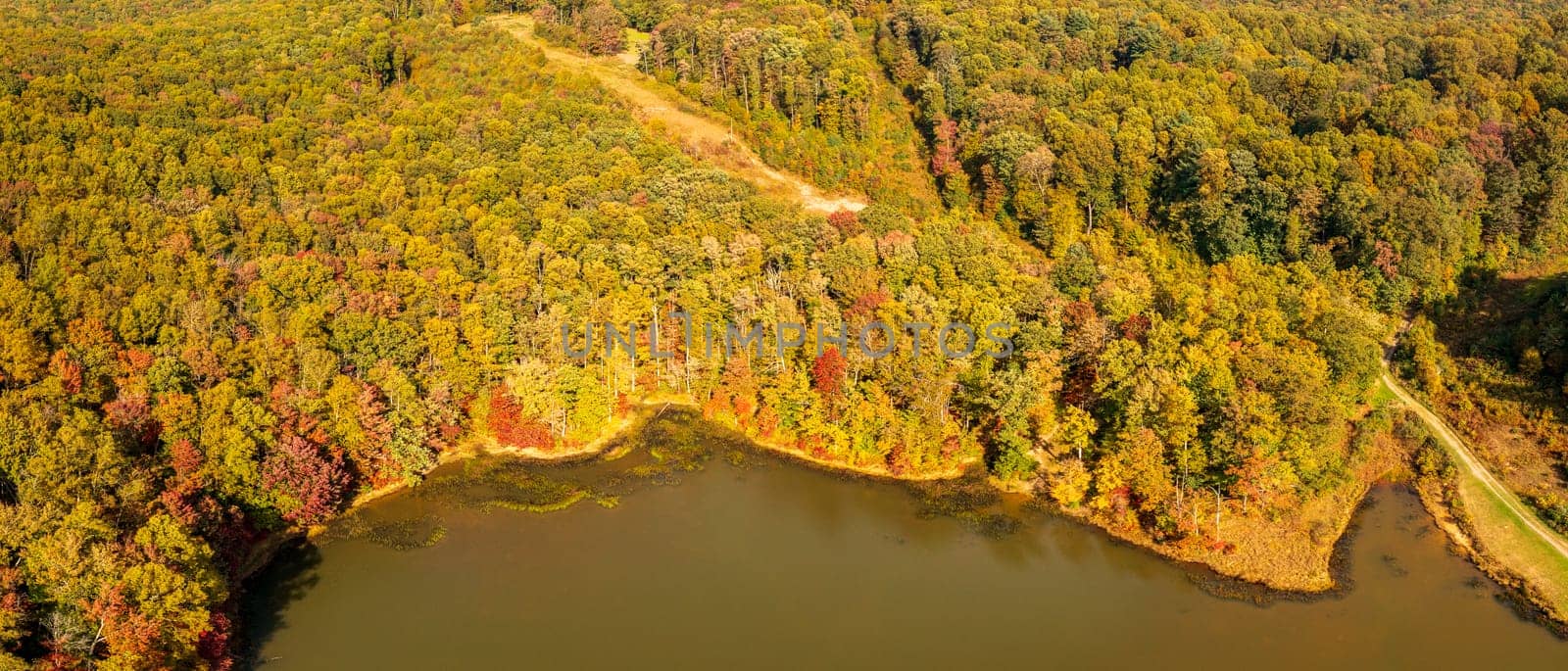 Aerial view of the changing leaves in autumn around the calm reservoir in Coopers Rock State Forest near Morgantown, West Virginia
