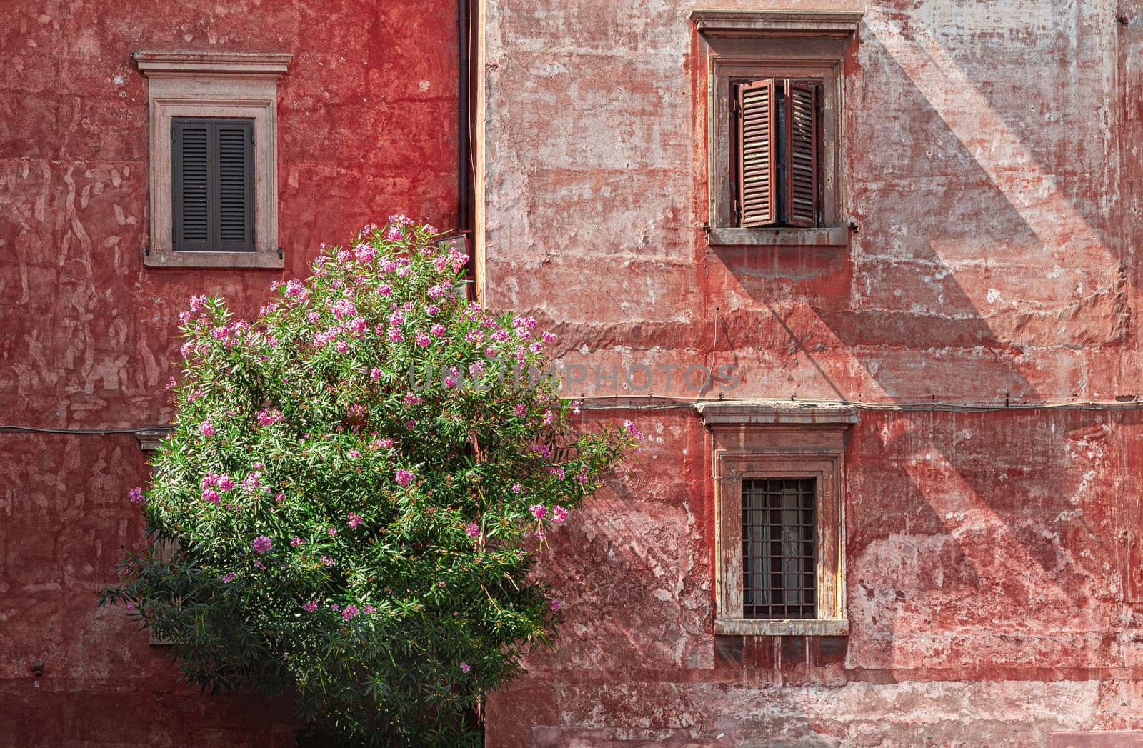 Colored walls and windows in Rome at noon