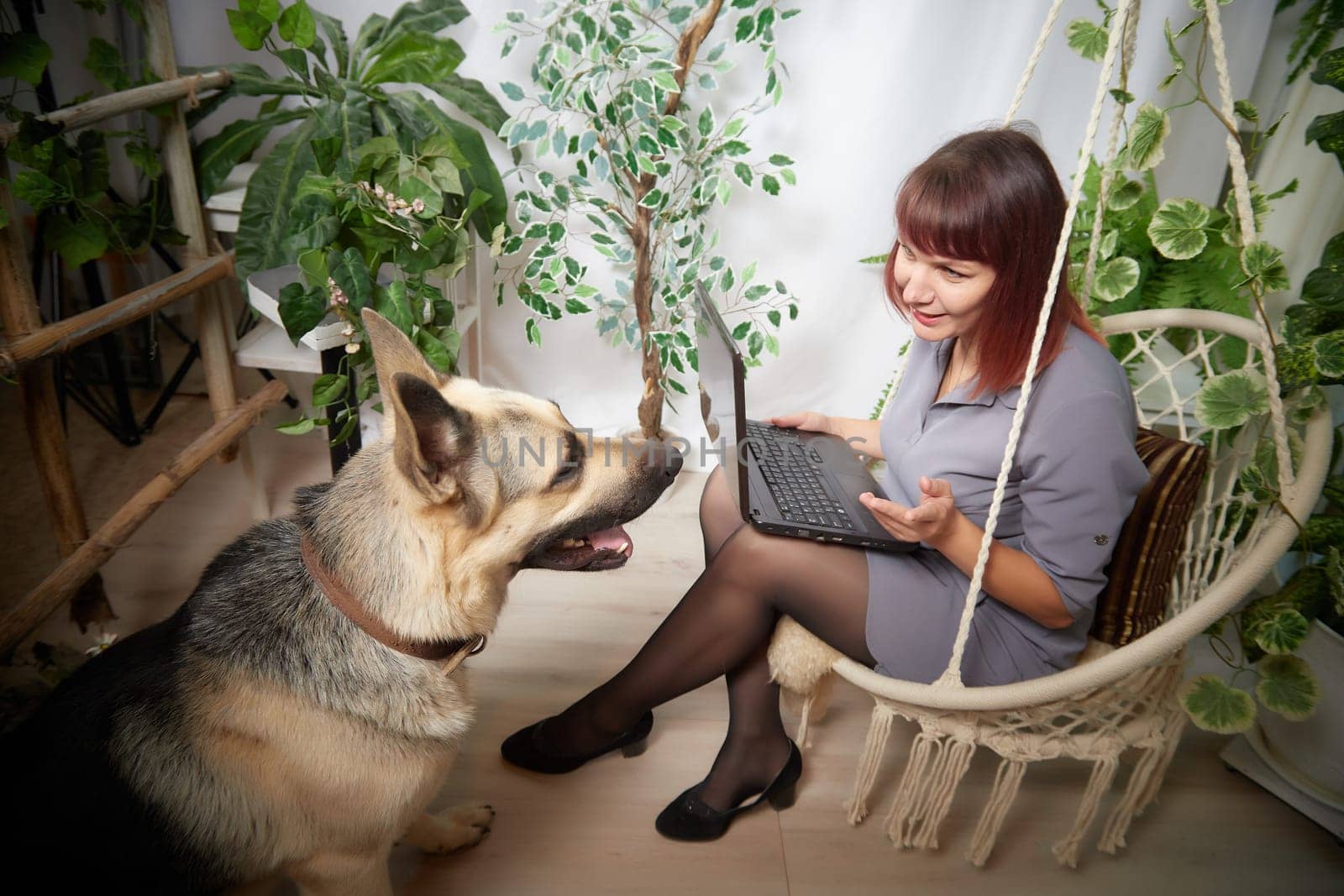 happy beautiful girl in chair using her laptop with cute big dog. Adult middle aged woman with shepherd. Friendship and love by keleny