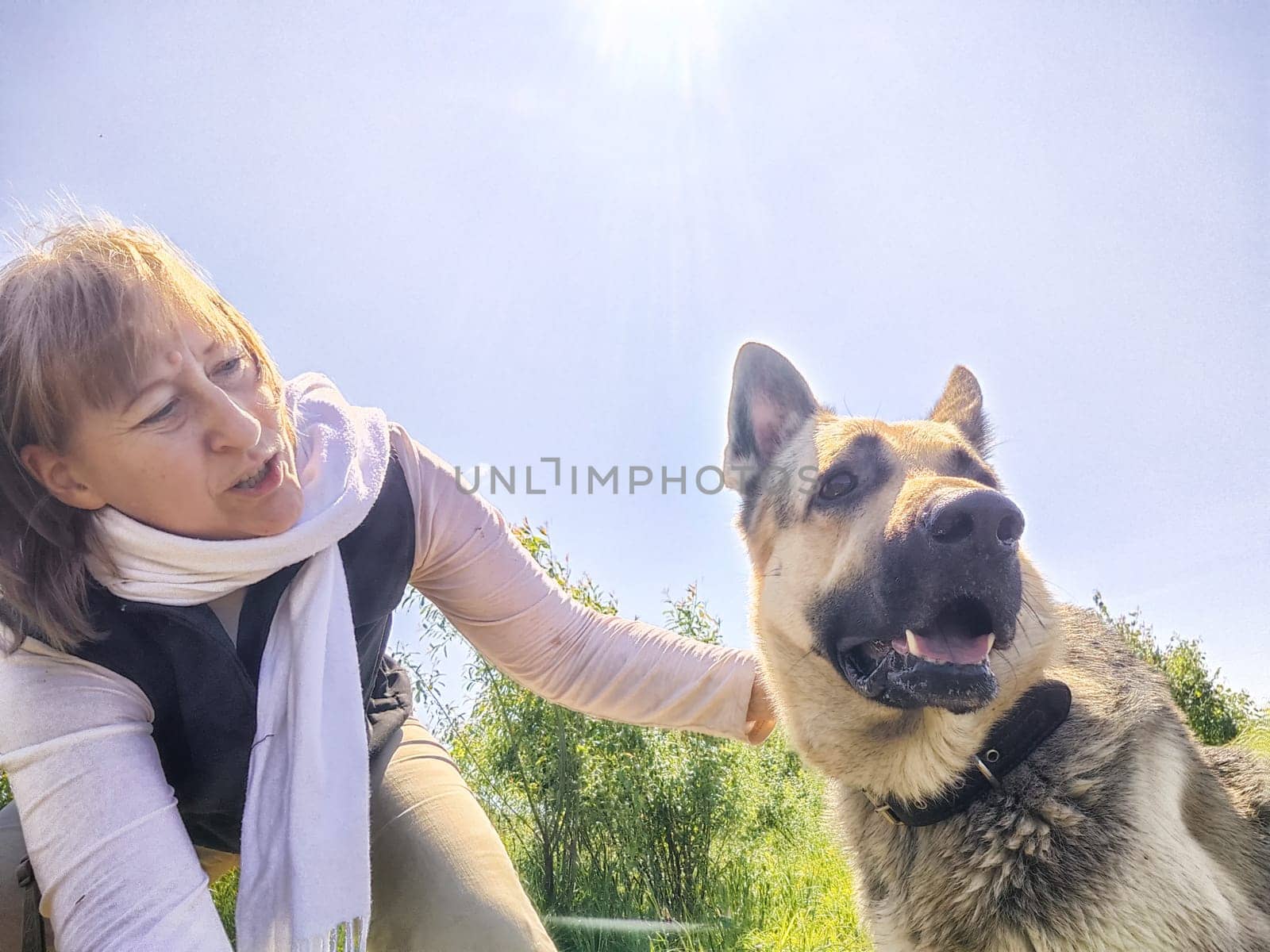 Dog German Shepherd and woman or girl in nature in summer, spring, summer sunny day. Russian eastern European dog and the mistress, trainer veo outside and outdoors with the rays of the sun