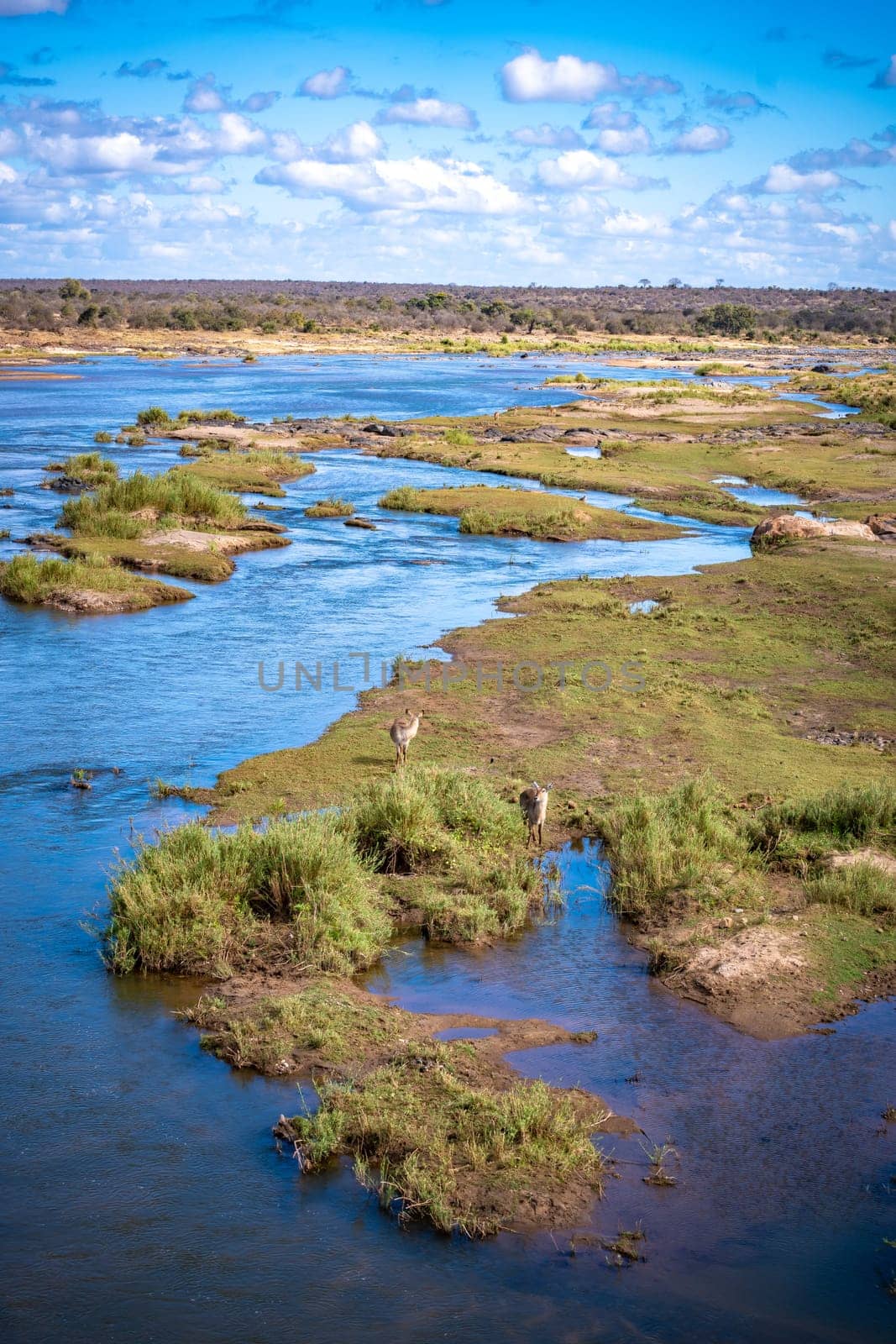 Savannah river in Kruger National Park, South Africa. High quality photo