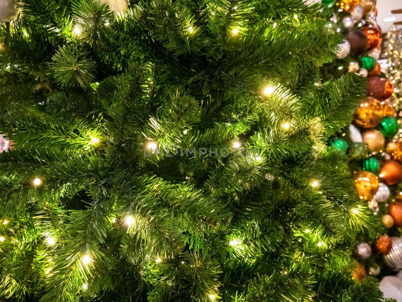 Green Christmass tree fir and lights texture background