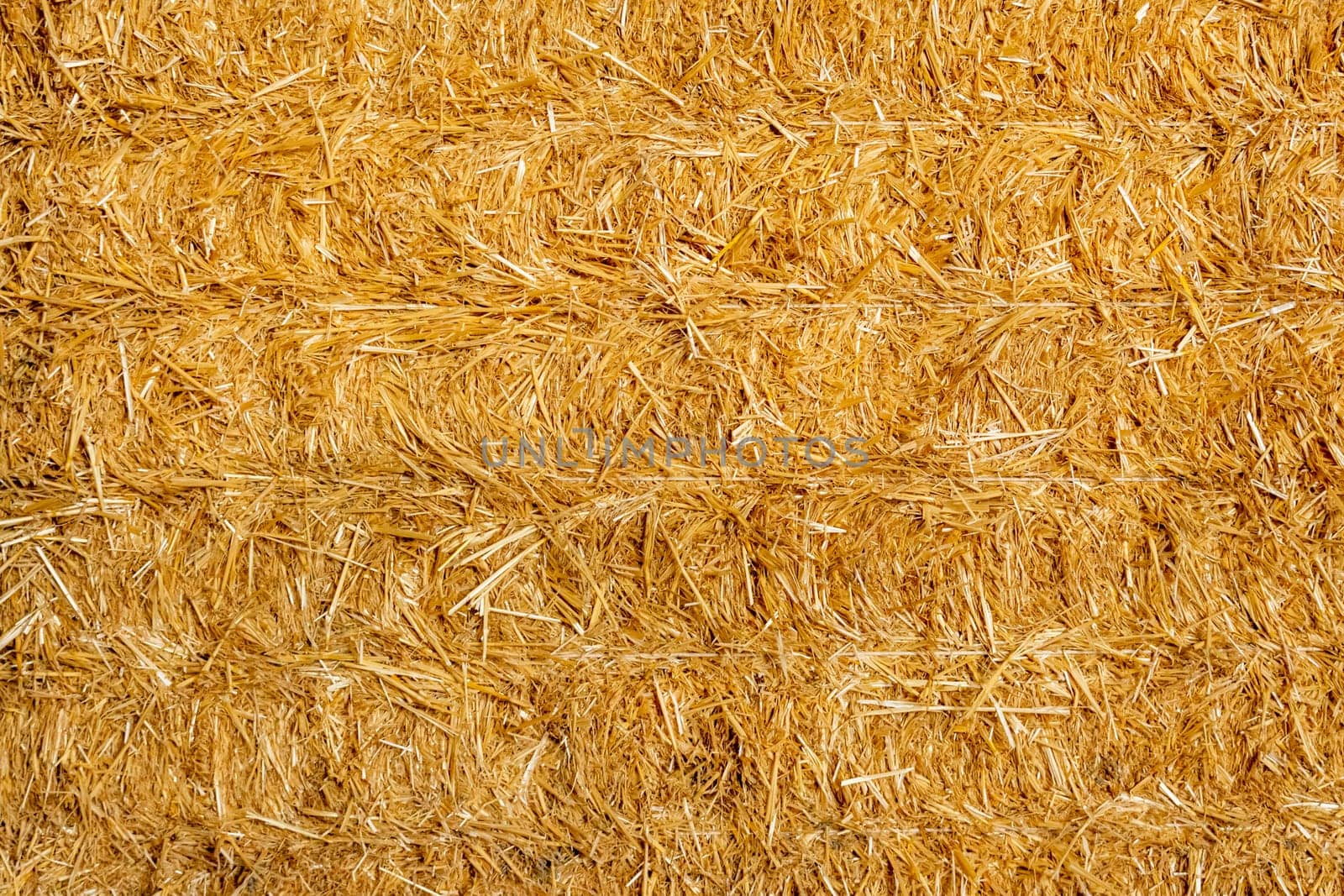 Golden straw stack tightened with straps. Texture background of yellow straw bale