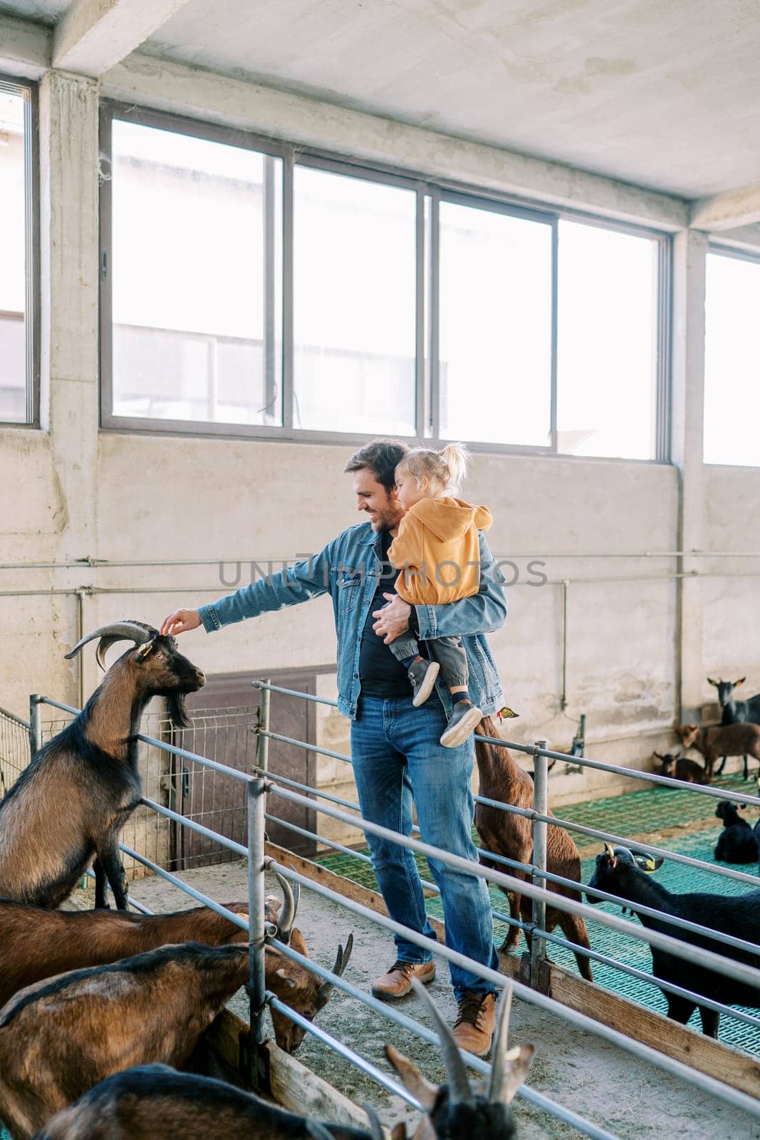 Dad with a little girl in his arms stroking a goat standing on its hind legs near the fence of the paddock. High quality photo