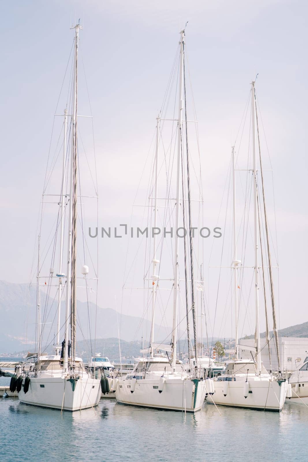 Sailing yachts are moored in a row in the port by Nadtochiy