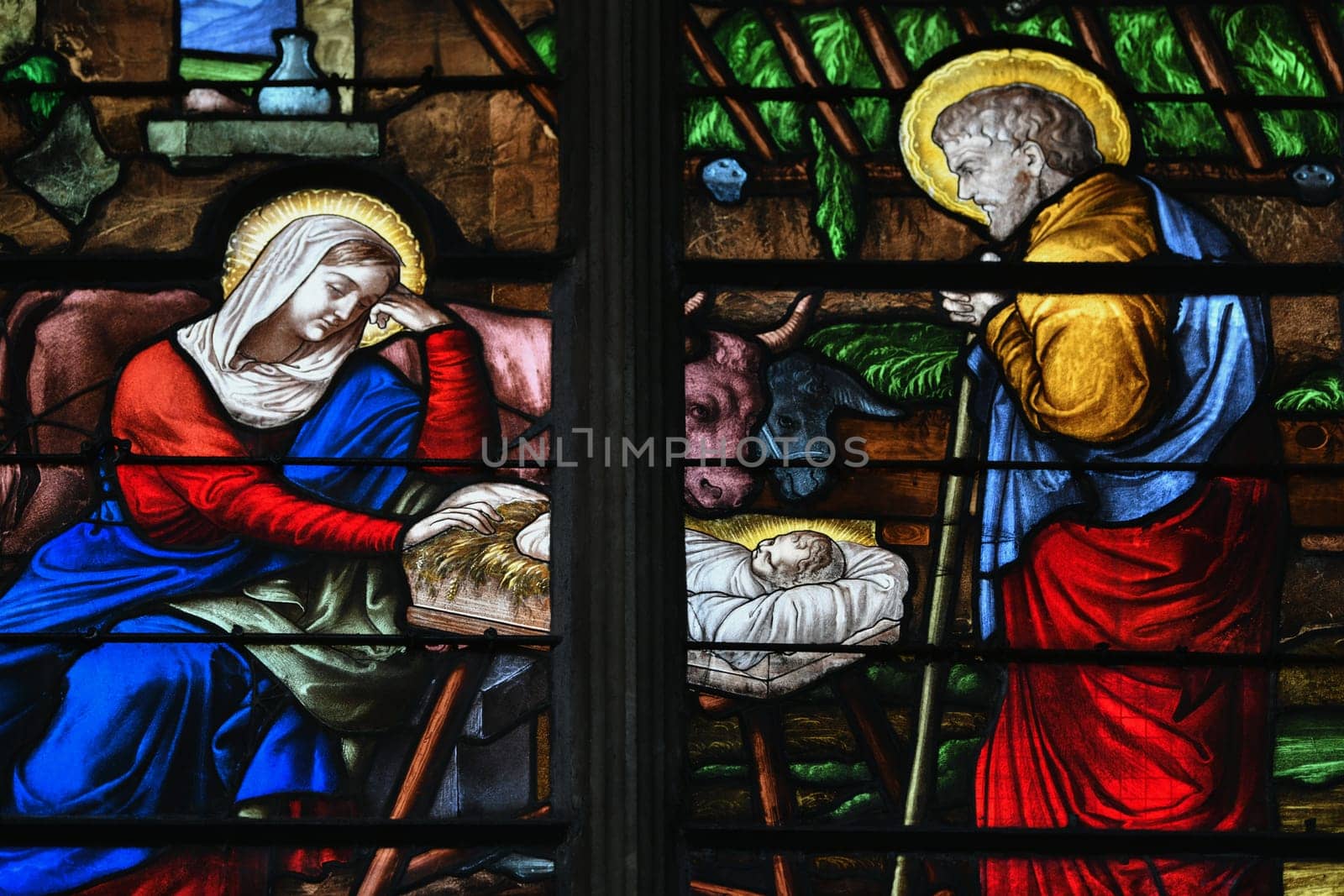 Stained glass with a scene of the birth of Jesus Christ in a church