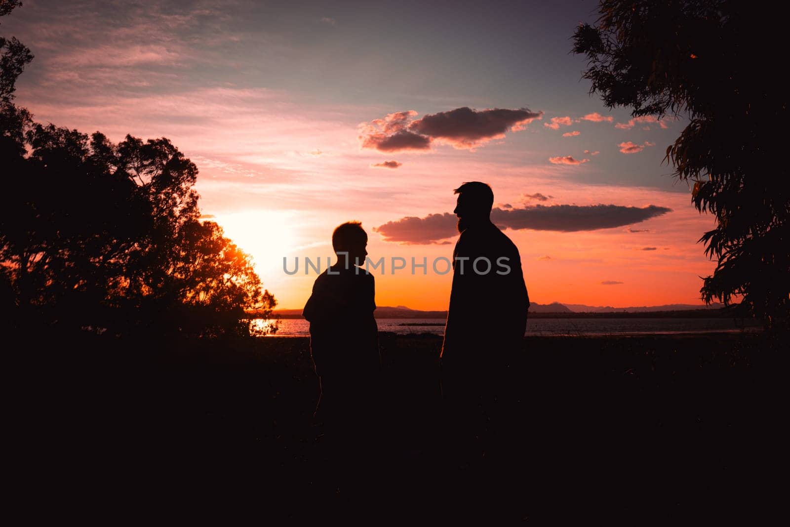 Father and son playing in the park at the sunset time. People having fun on the field. Concept of friendly family and of summer vacation. High quality photo