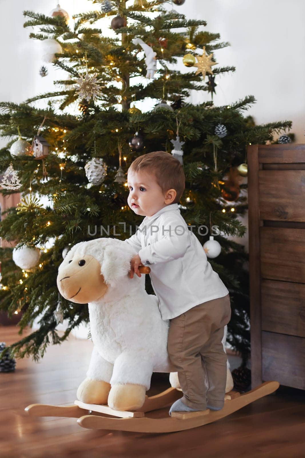 Boy rides a sheep near the Christmas tree at home