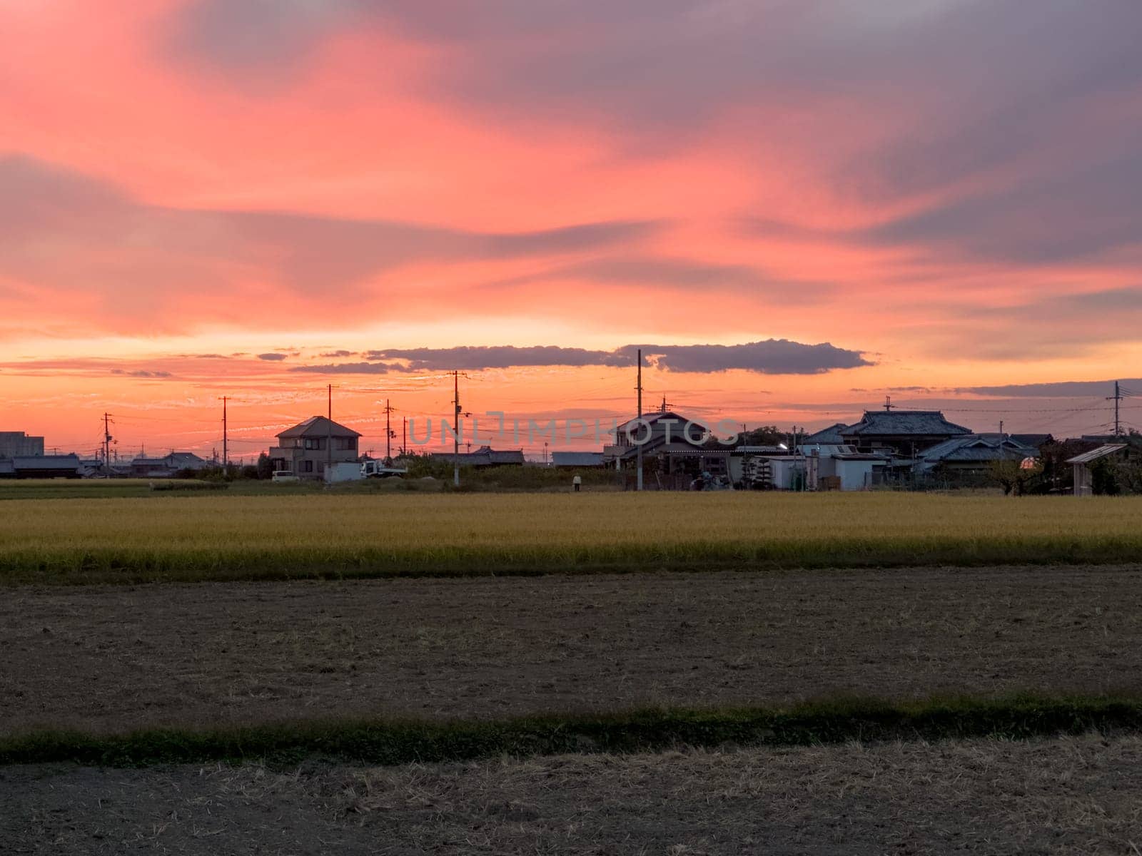 Beautiful sunset color in glowing sky over rice fields and Japanese homes by Osaze