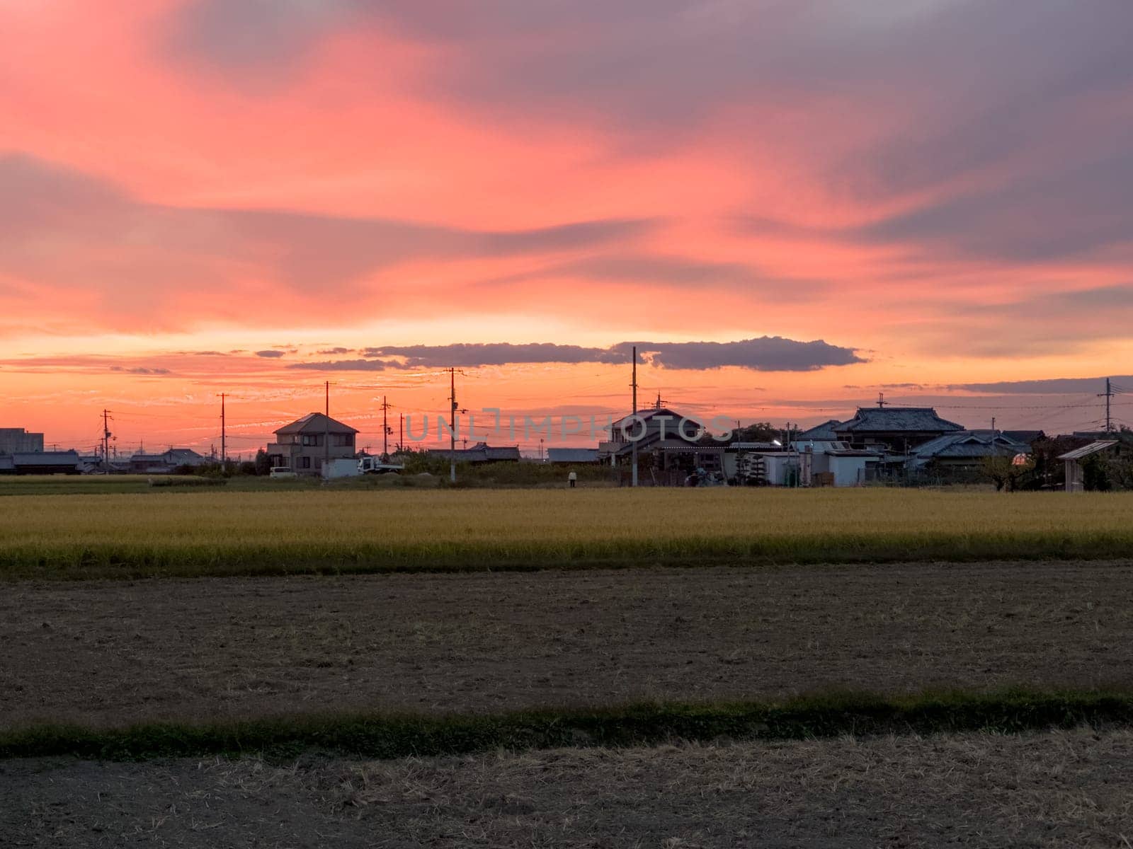 Beautiful sunset color in glowing sky over rice fields and Japanese homes. High quality photo