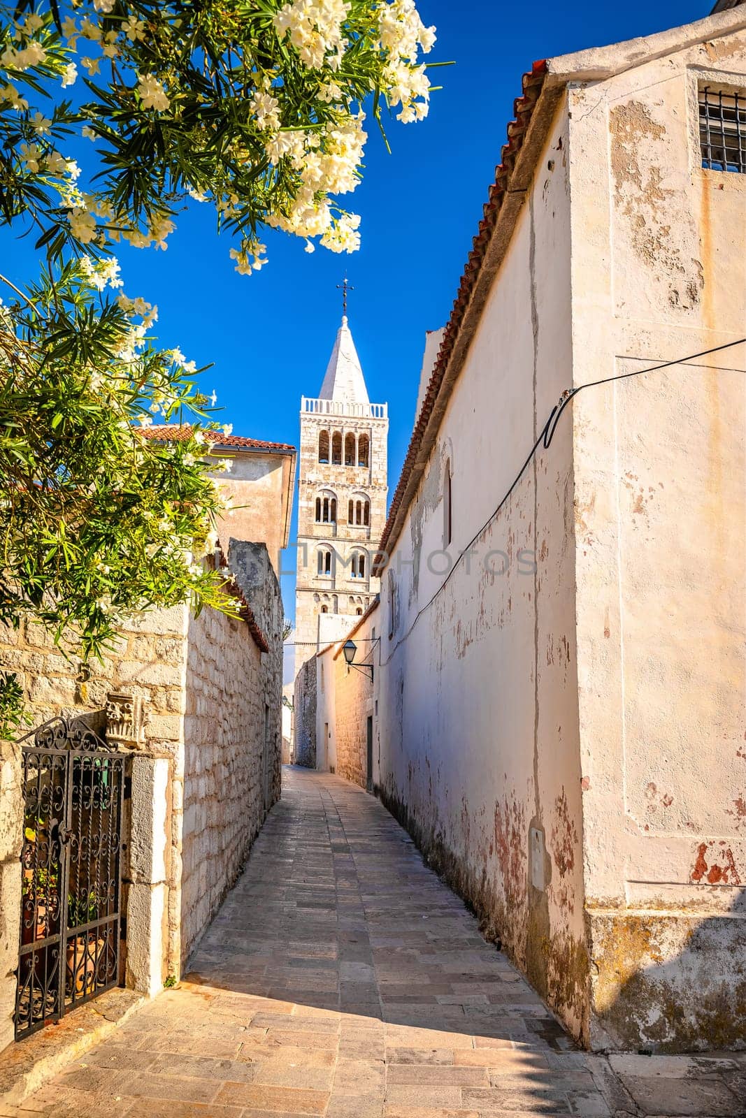 Town of Rab narrow stone street and church tower view by xbrchx