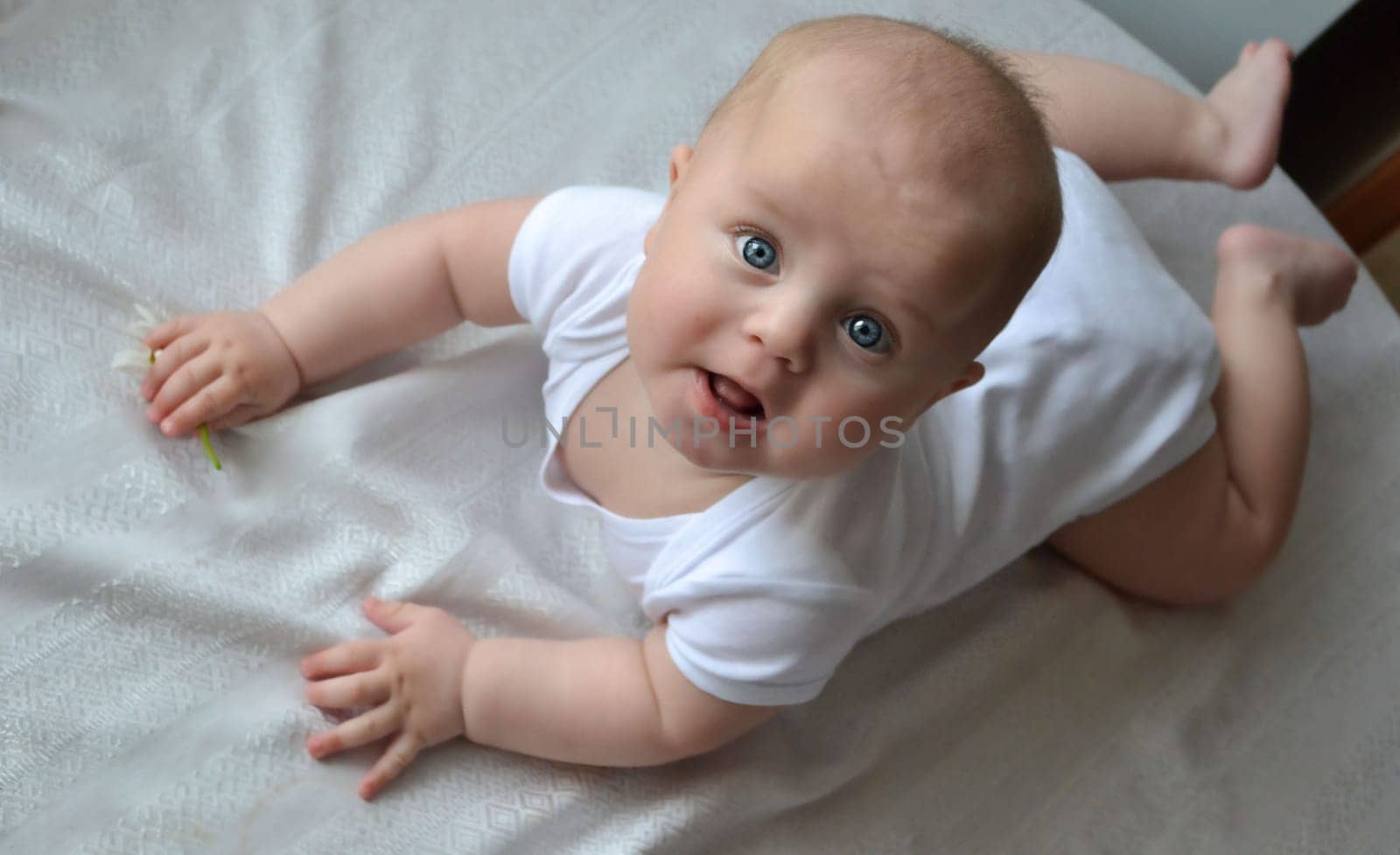 Children concept. A baby with blue eyes, in a white bodysuit, lies on a table on a beige blanket and tightly holds a daisy flower in his hand. looks at the camera. Close-up. Soft focus.