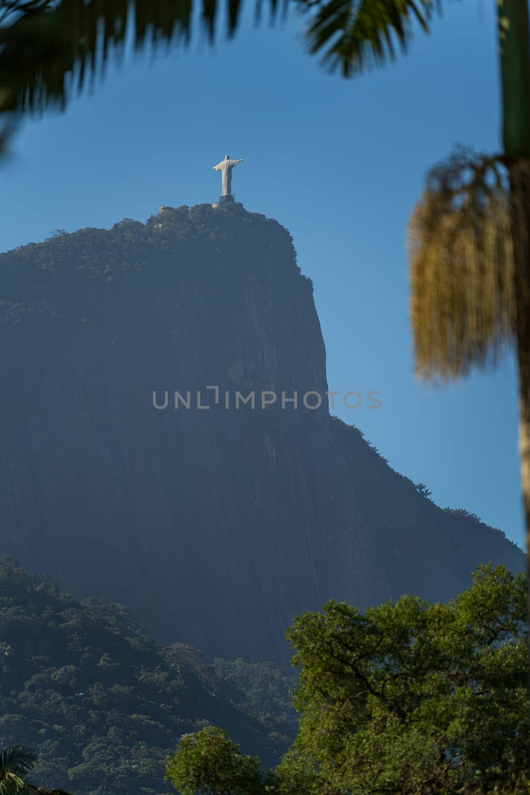 Rear View of Christ the Redeemer in Rio de Janeiro Framed by Palm Tree by FerradalFCG