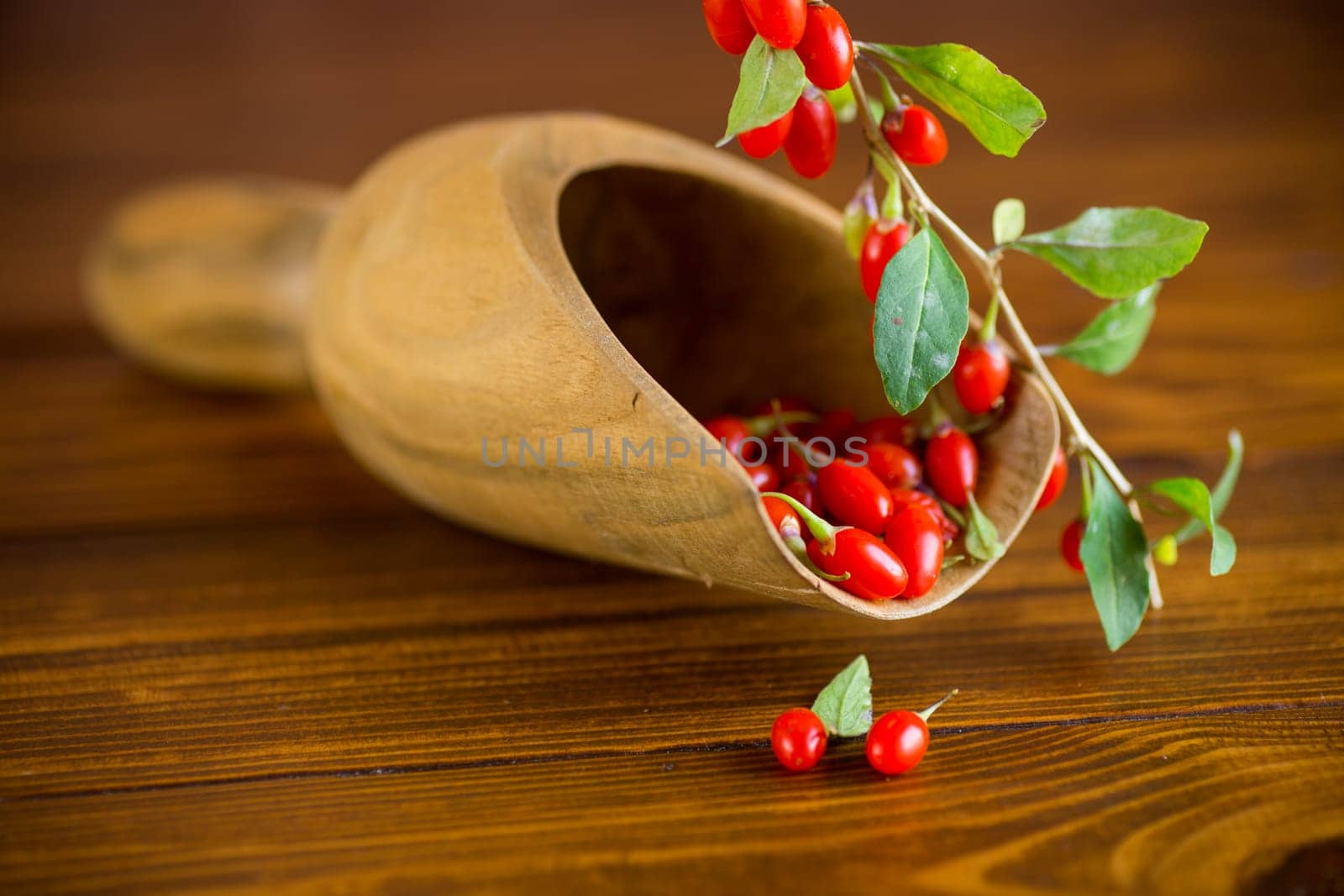 Branch with ripe red goji berry on a brown wooden table