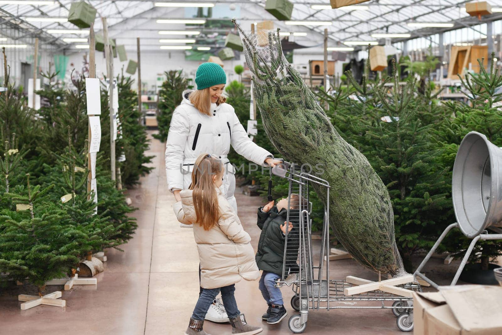 Mother and children choose a Christmas tree in the market.