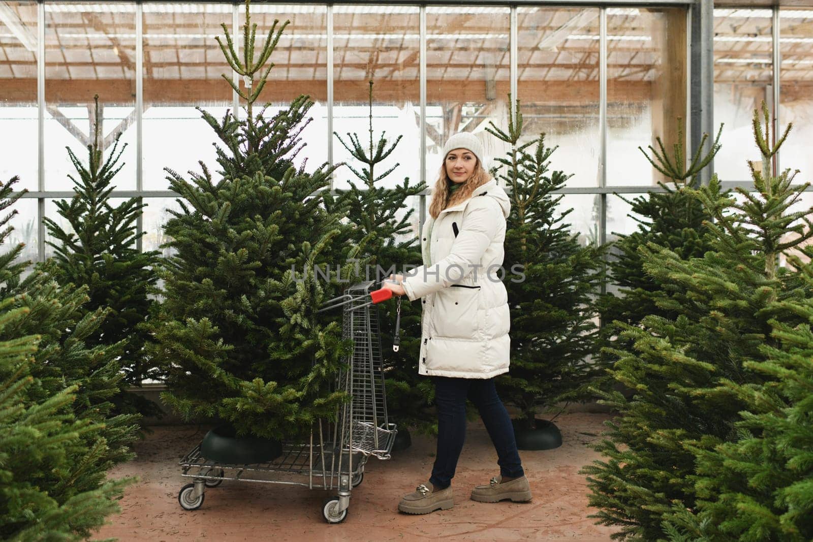 A woman carries a Christmas tree in a wheelbarrow in a store. by Godi