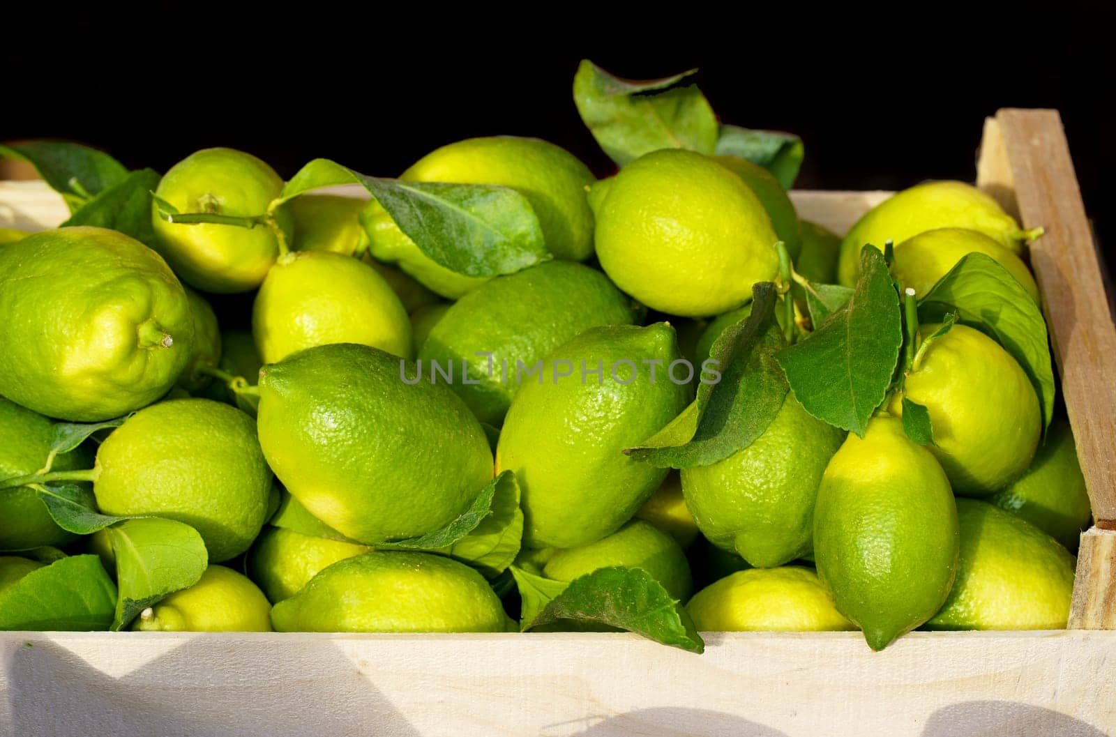 Local market. Boxes with tangerines. Fresh mandarin oranges or tangerines fruit with leaves in boxes at the open air local food market. Wholesale depot of exotic fruits. by aprilphoto