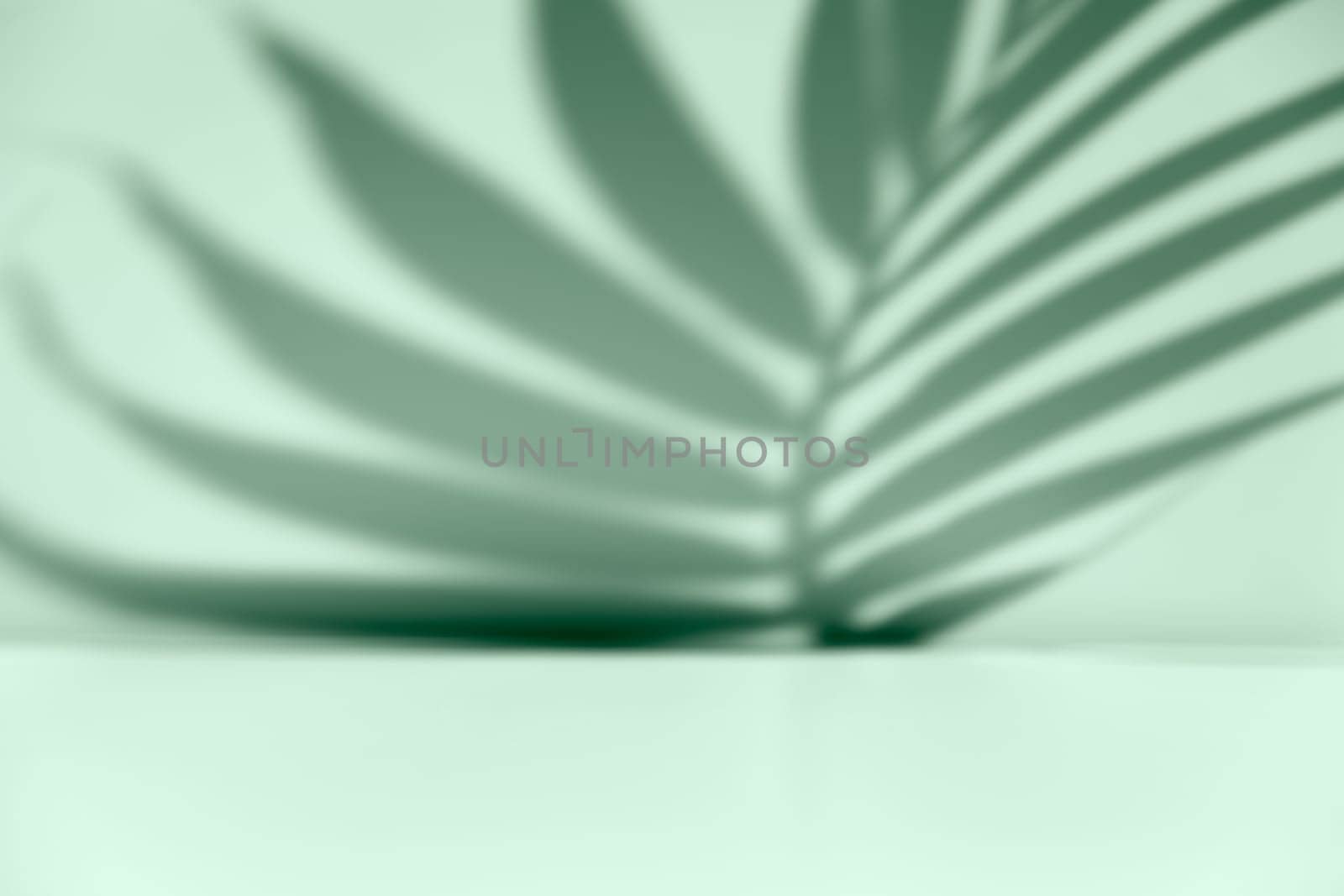 Palm leaf shadow overlay. Minimalist shadow overlay for product placement. by TropicalNinjaStudio