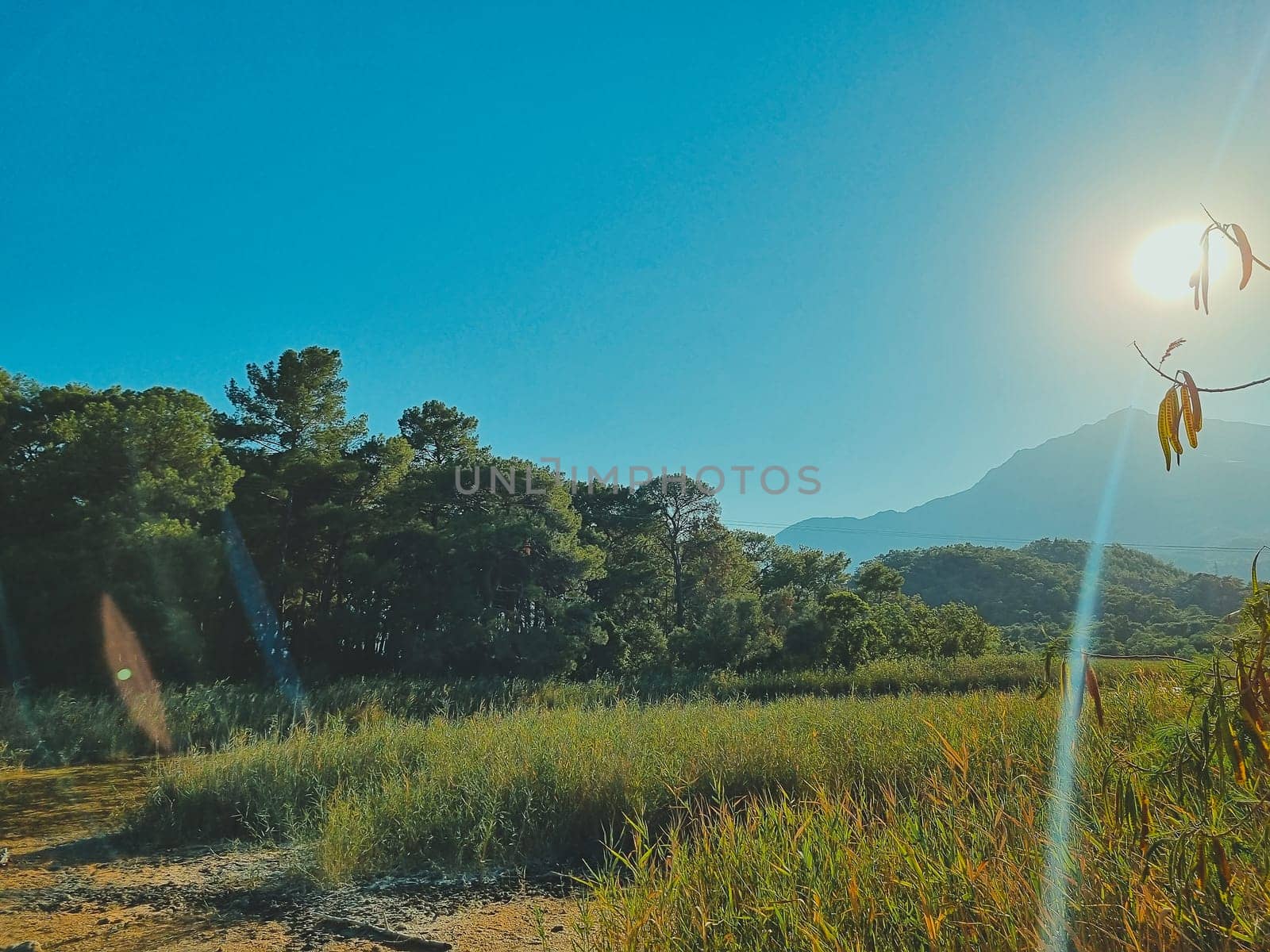 beautiful view of road, mountains in sun's glare and rays. summer holiday concept, travel by car. summer postcard by Leoschka