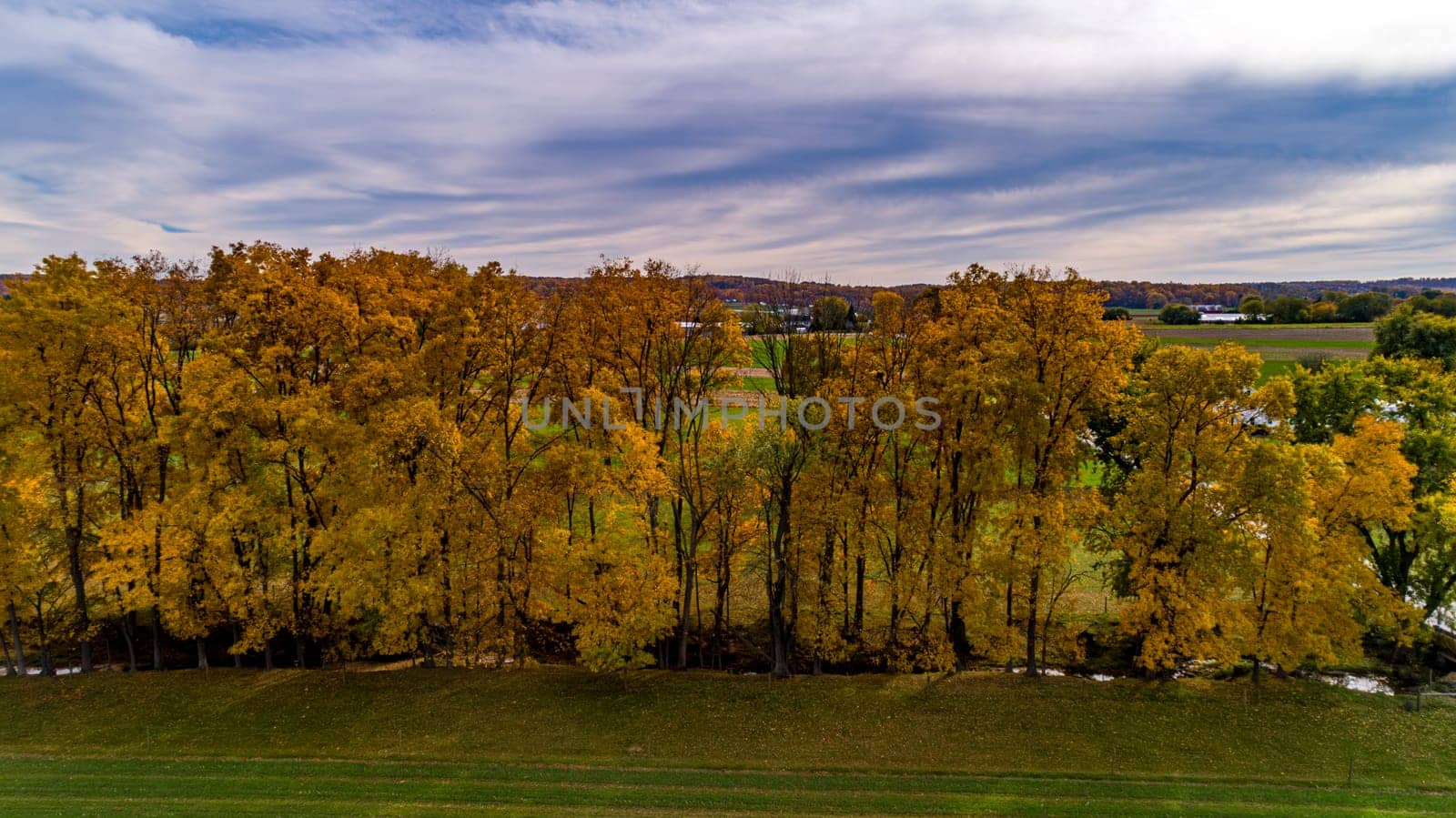 An Aerial View of a Row of Autumn Trees, in Yellow and Orange Colors, on a Sunny Fall Day