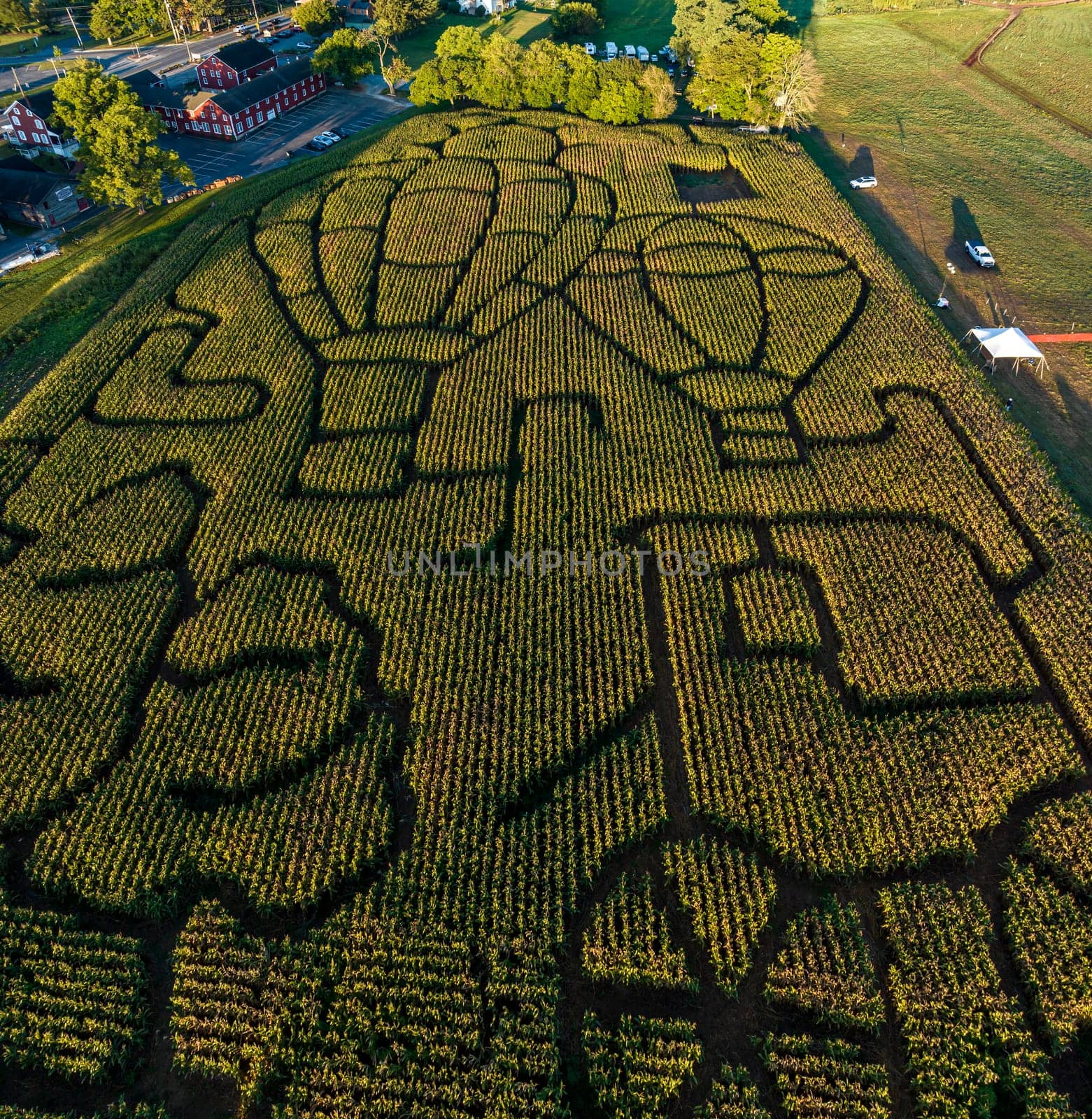 Beautiful Aerial View of Agricultural Pattern, Craved into a Core Field, Making a Maze, no people are present.